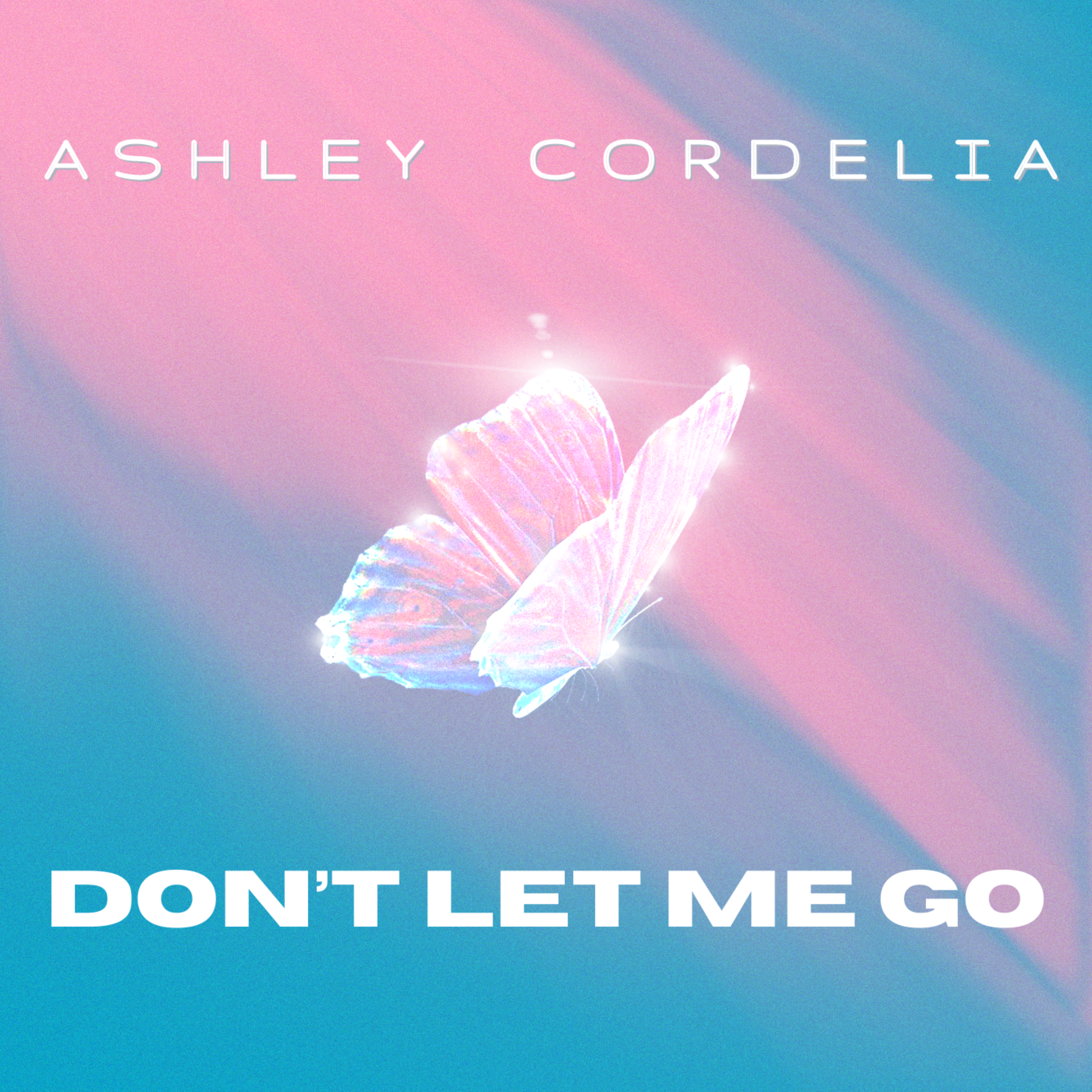 DON'T LET ME GO by Ashley Cordelia cover art