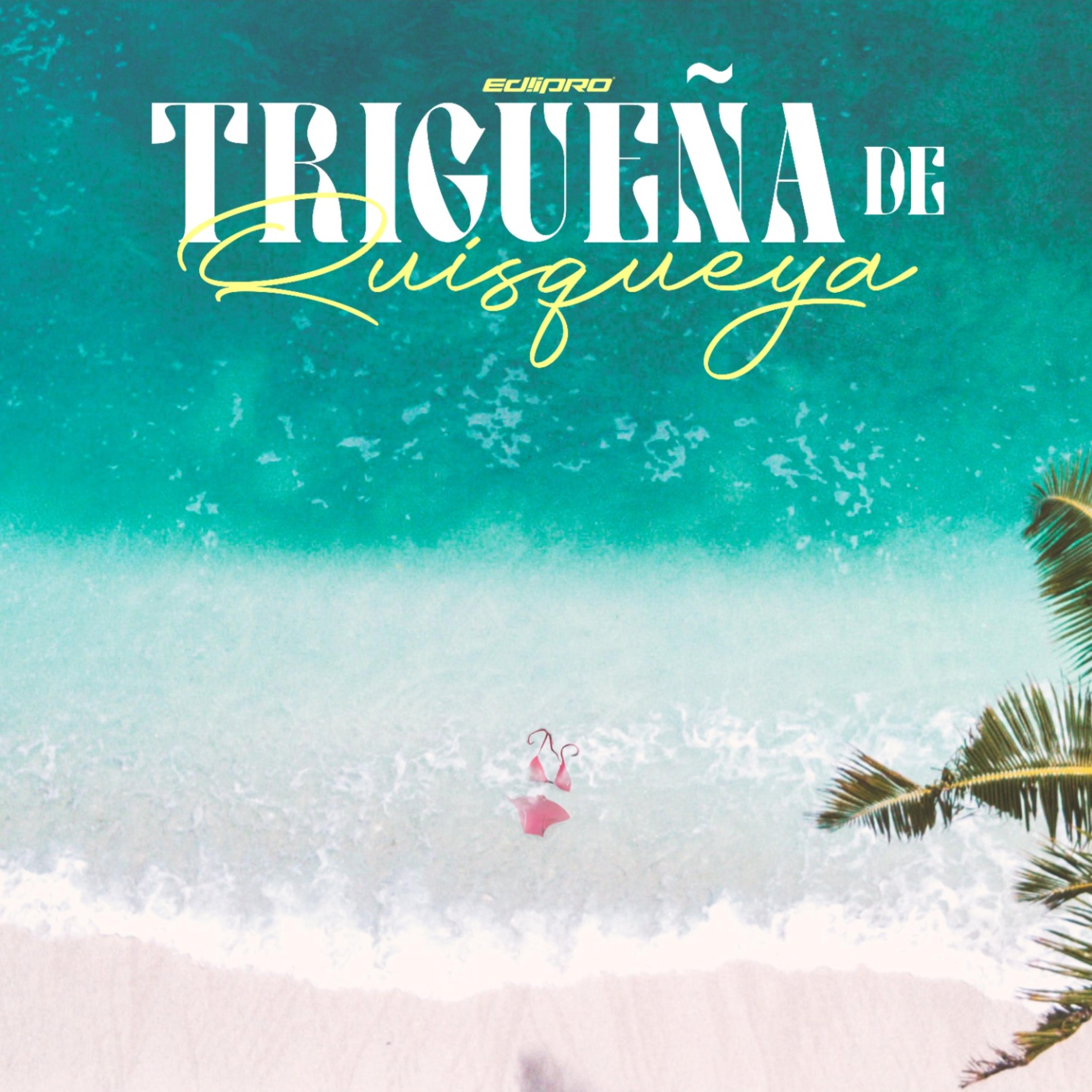 TRIGUEÑA DE QUISQUEYA artwork