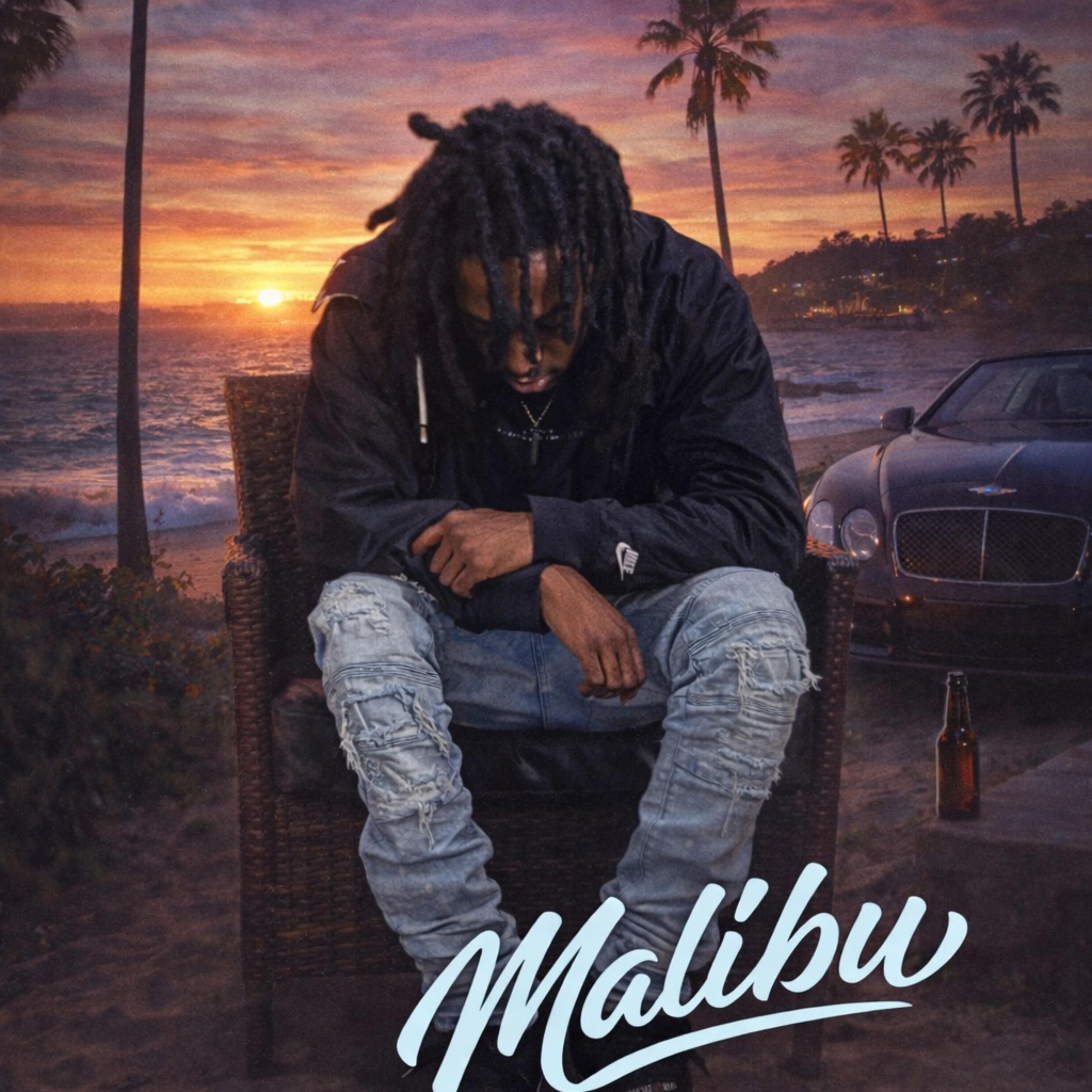 Malibu artwork
