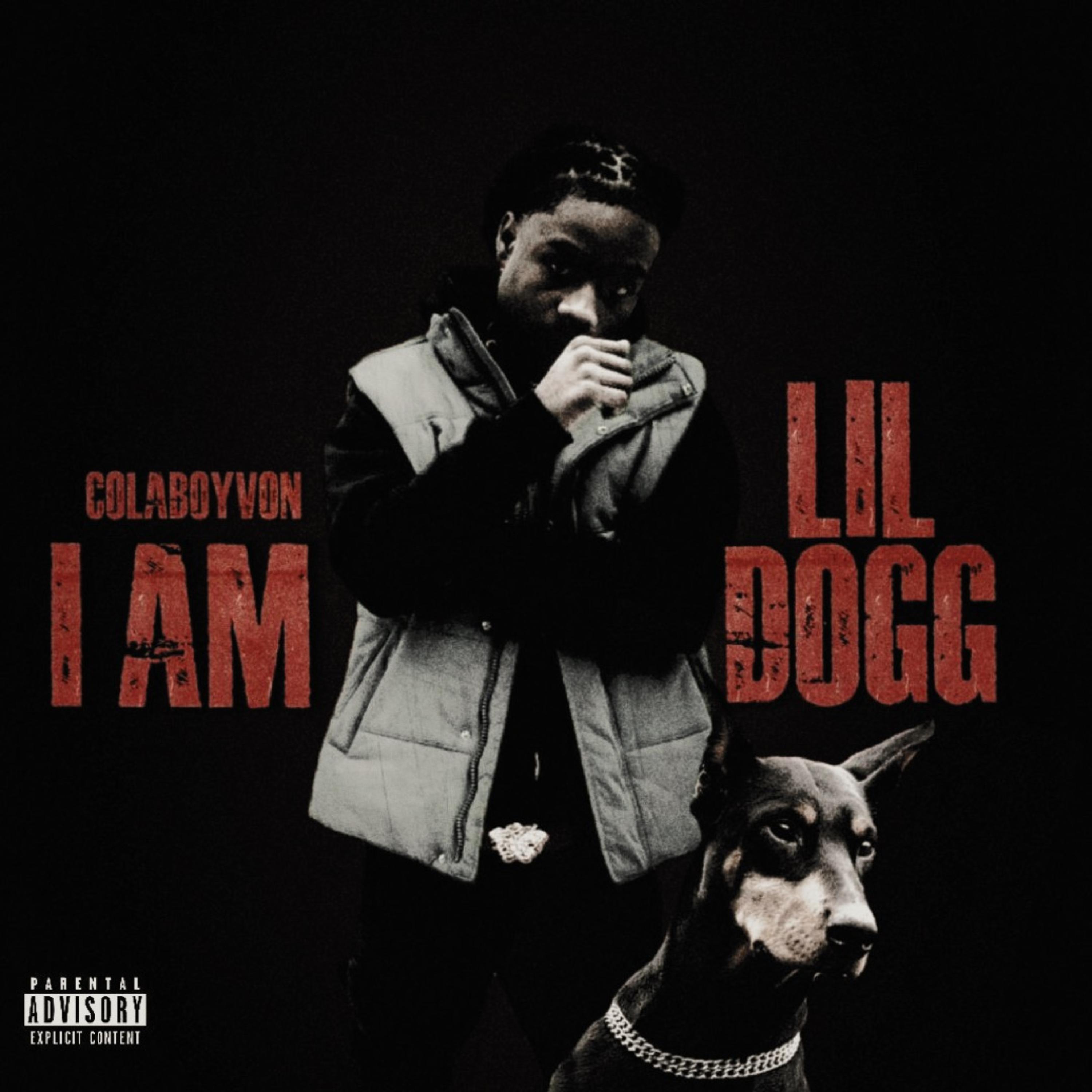 I Am Lil Dogg artwork