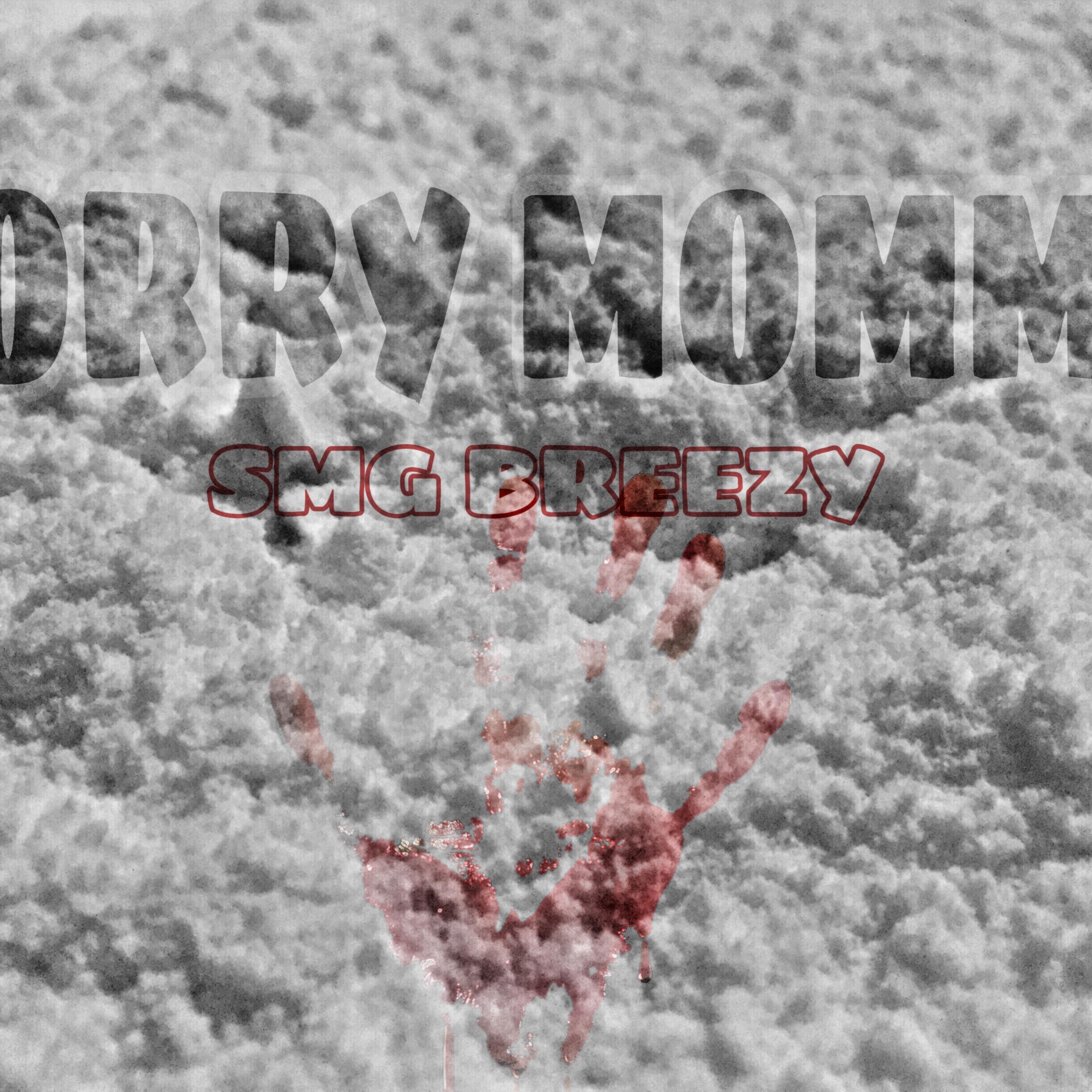 Sorry Momma artwork