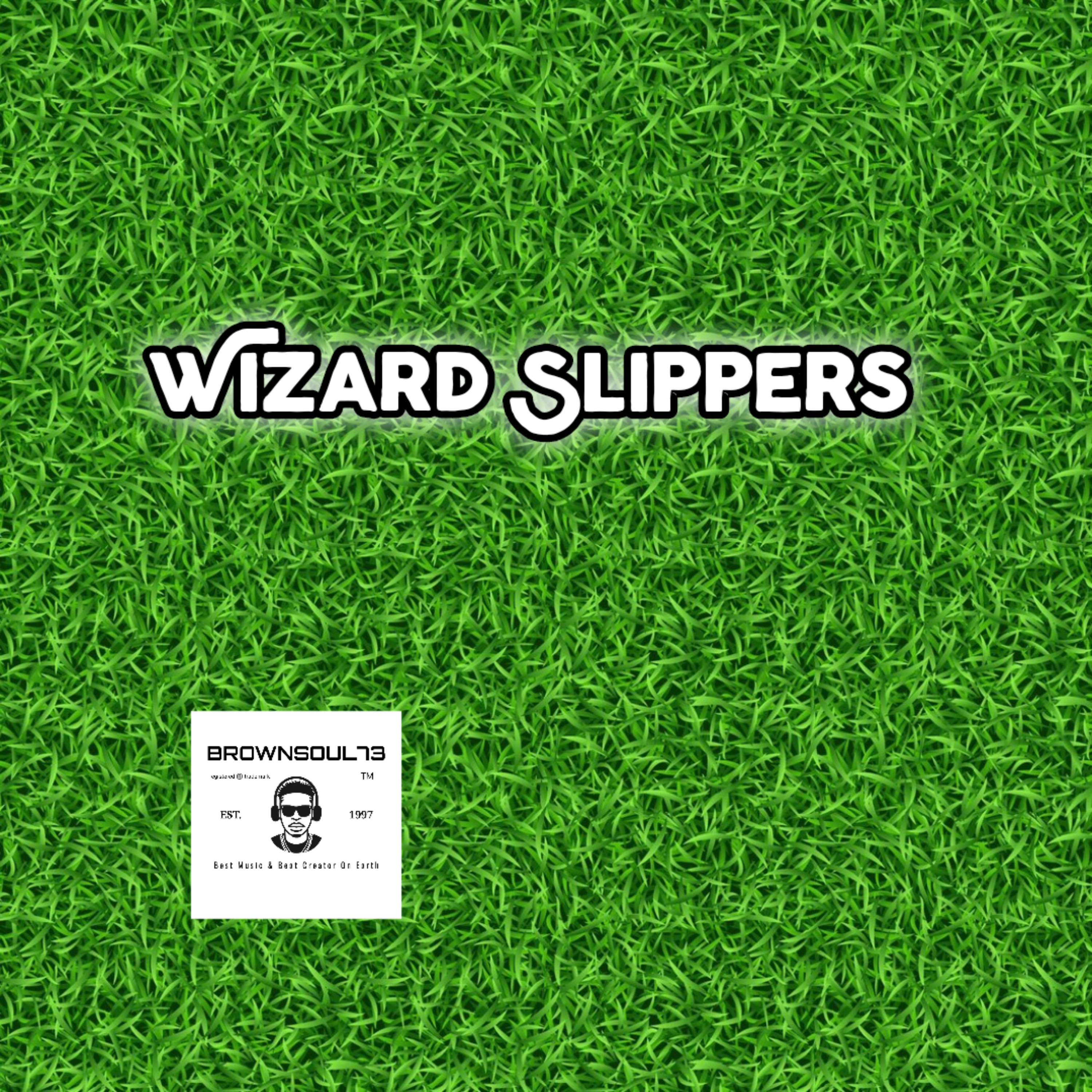 Wizard Slippers artwork