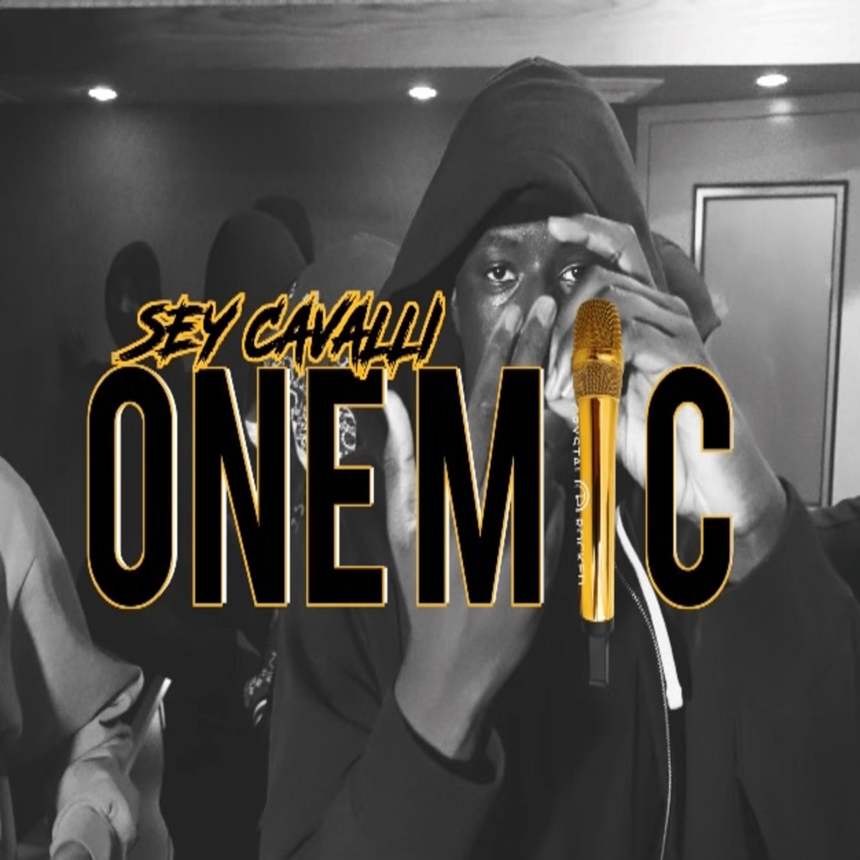 ONE MIC FREEESYYLE artwork
