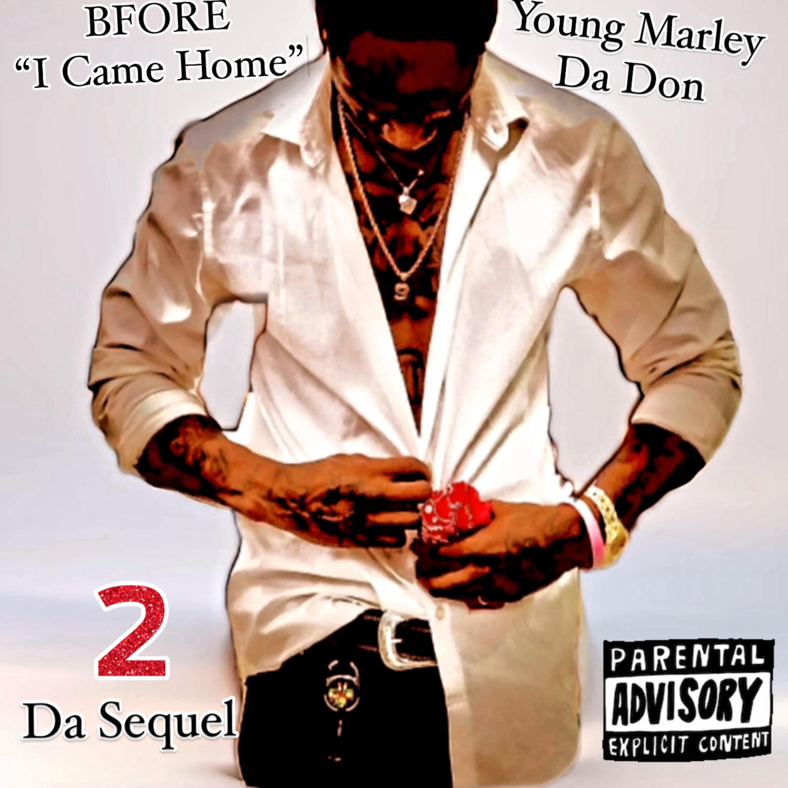 BFORE I Came Home Da Sequel 2 artwork