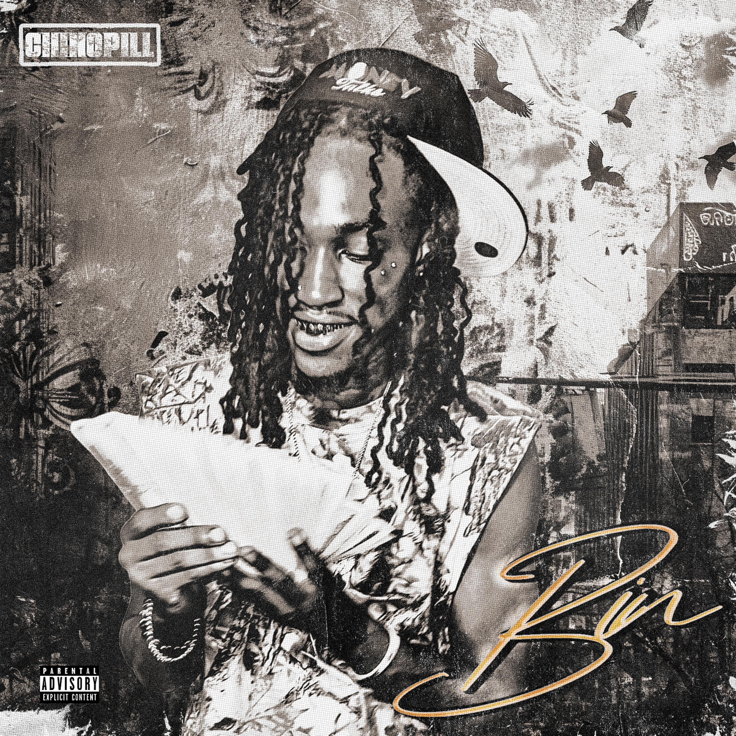 Bin by Chinopill cover art