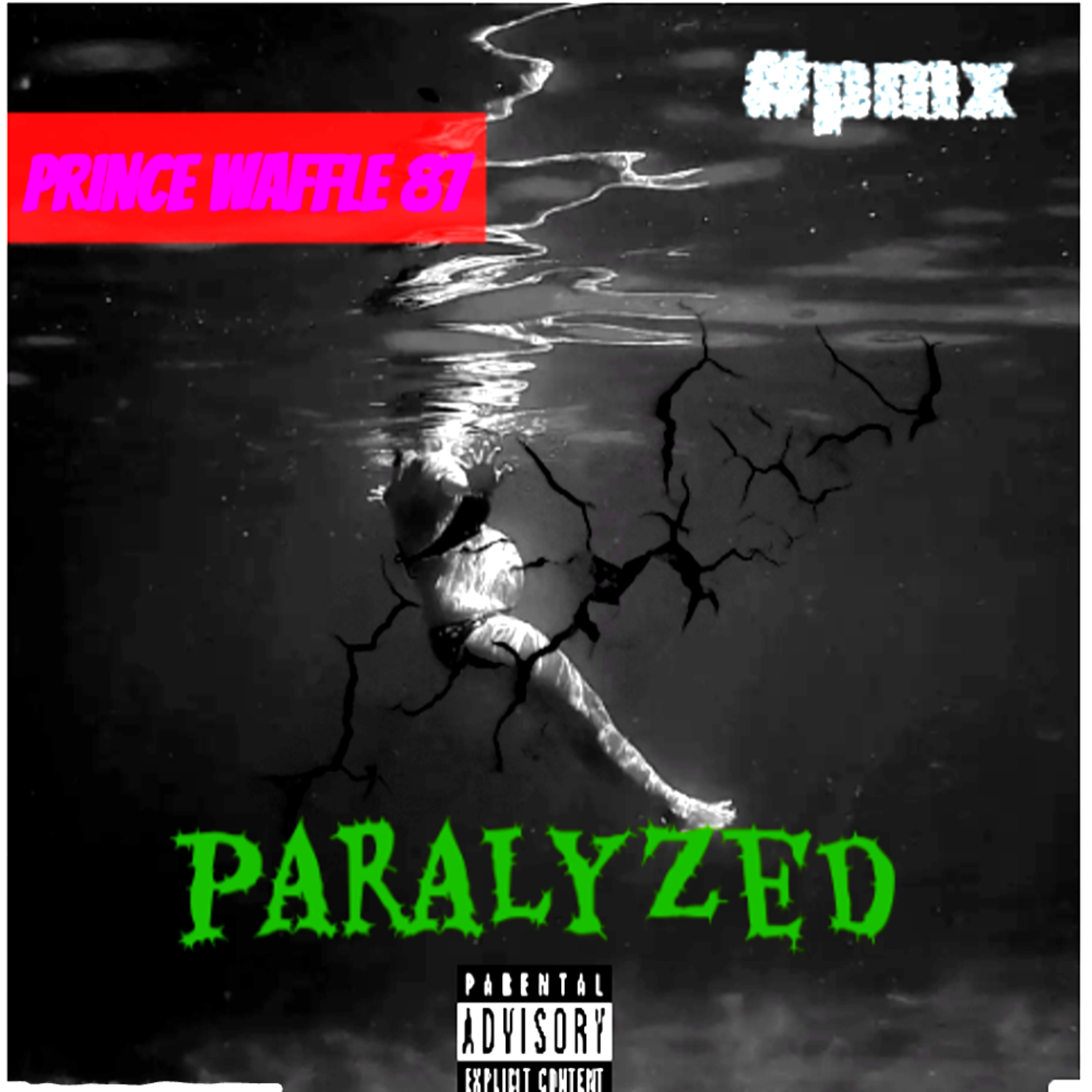 P.a.r.a.l.y.z.e.d artwork