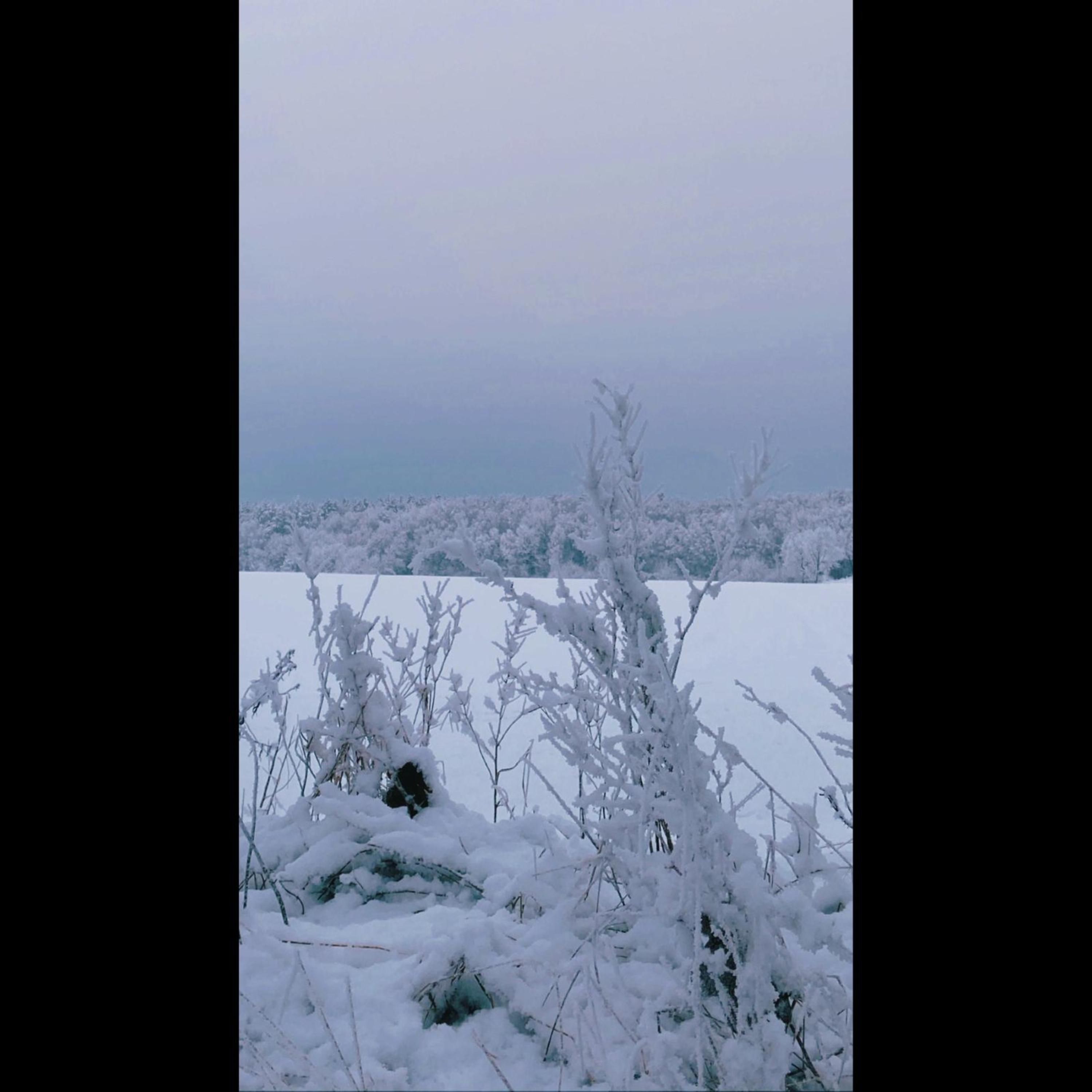 beautiful cold time artwork