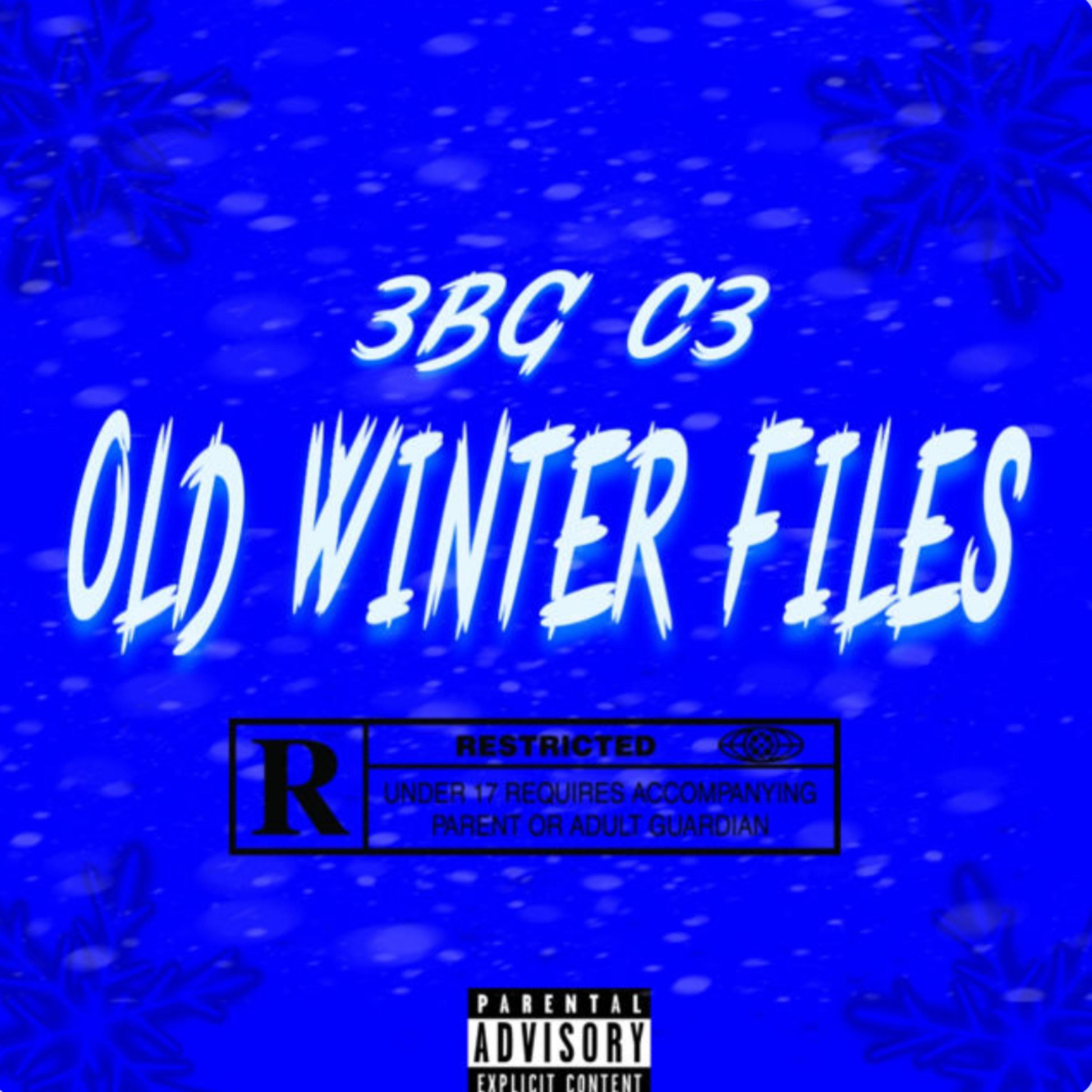 Old Winter Files artwork