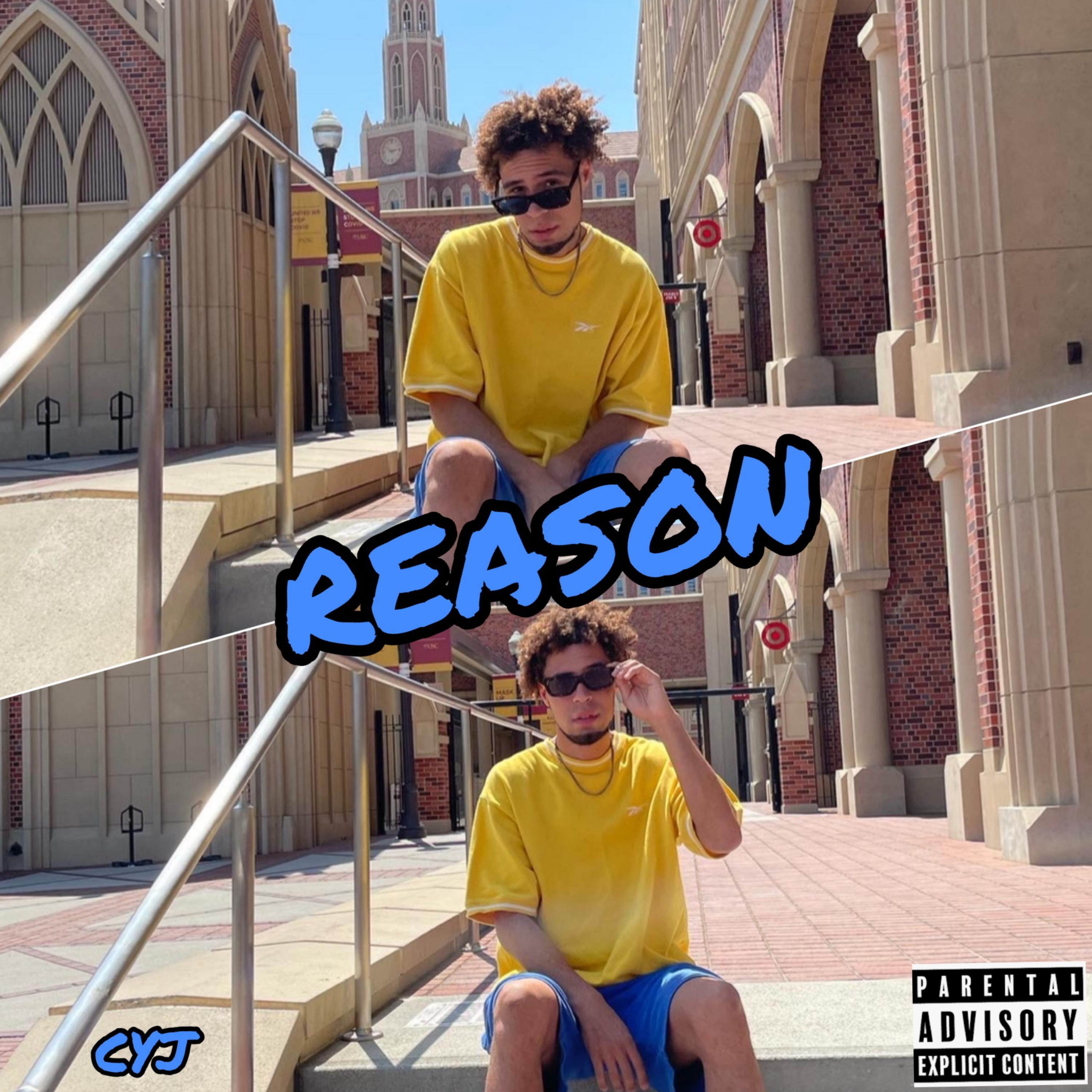 Reason artwork