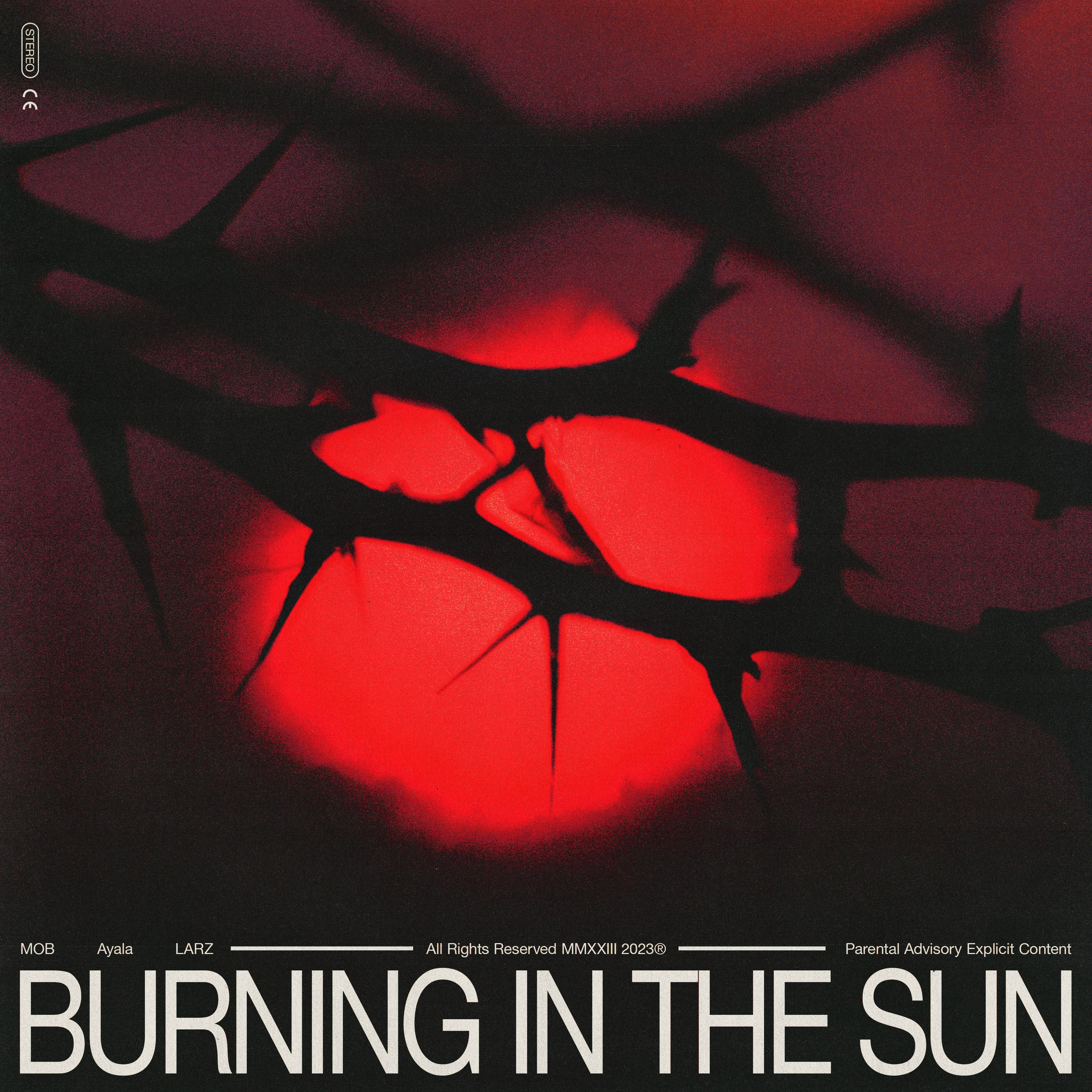 BURNING IN THE SUN artwork