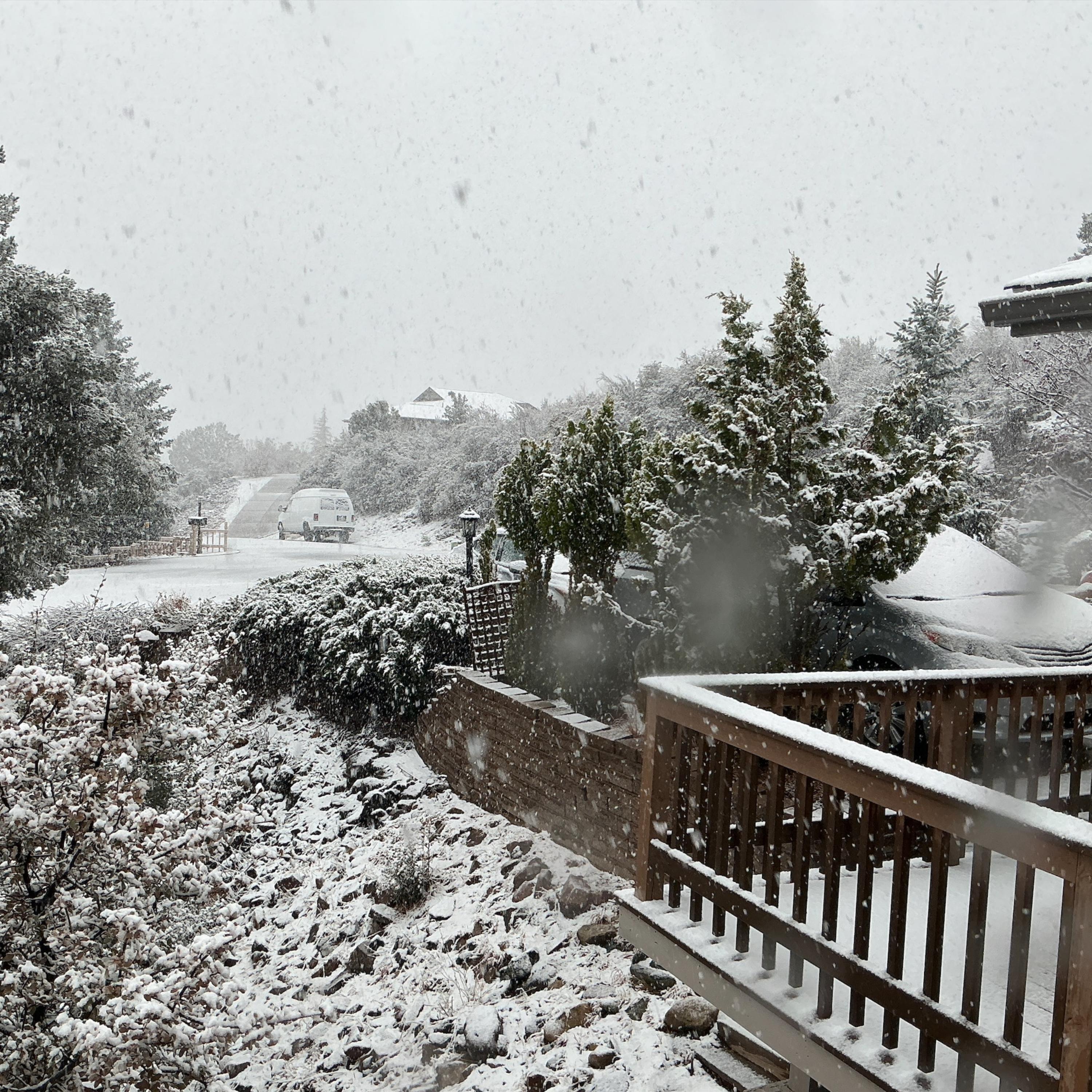 Reunited Again artwork