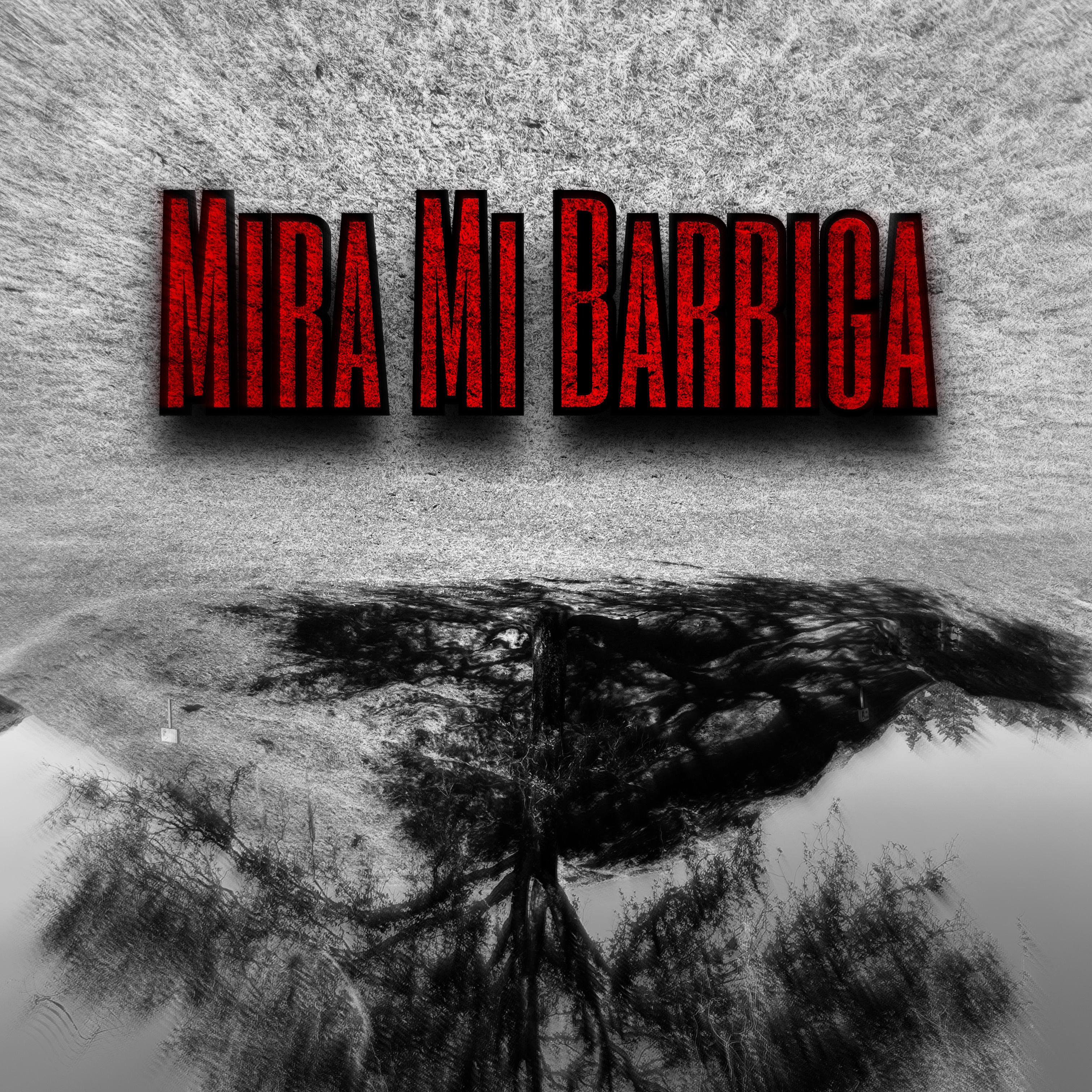 Mira Mi Barriga artwork