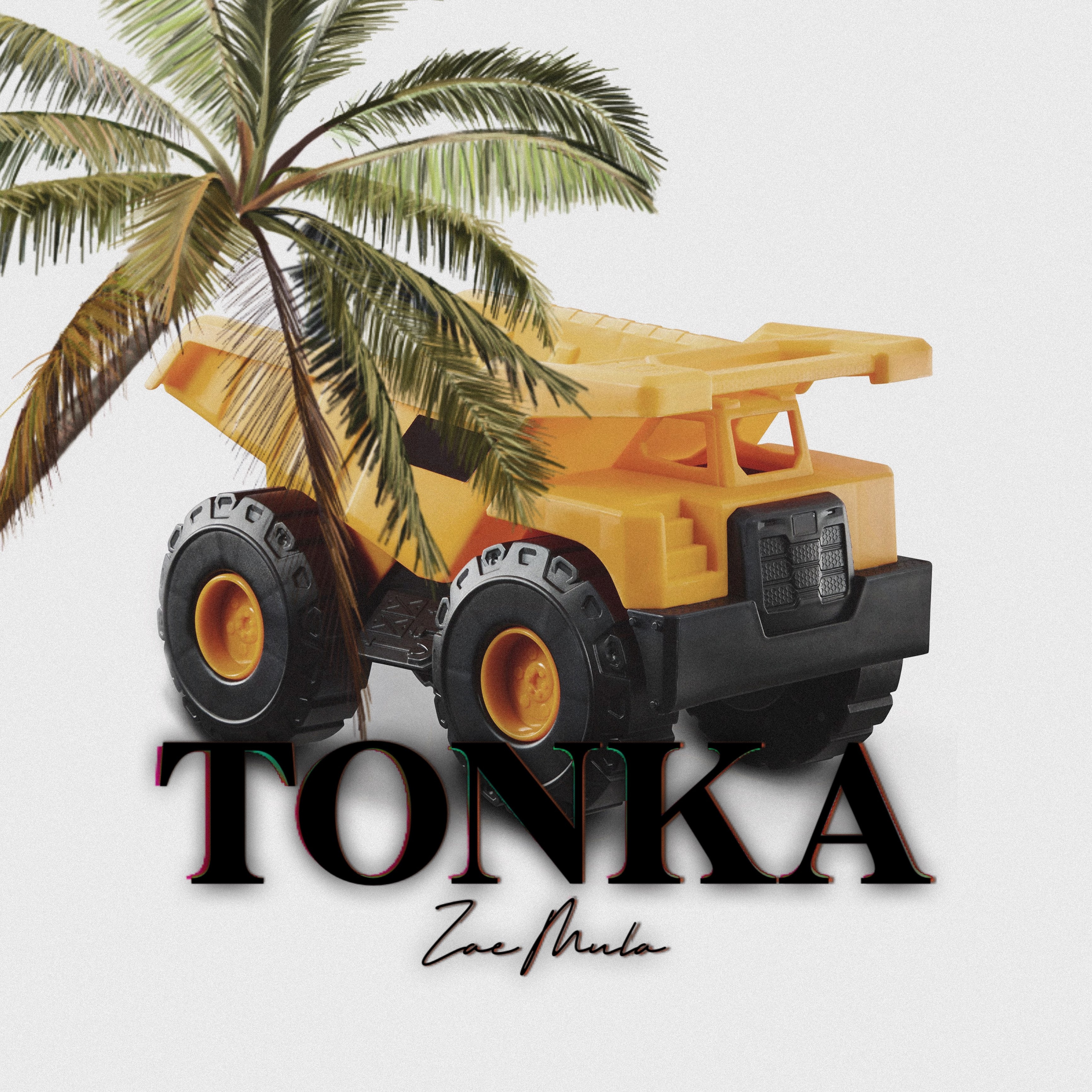 TONKA artwork