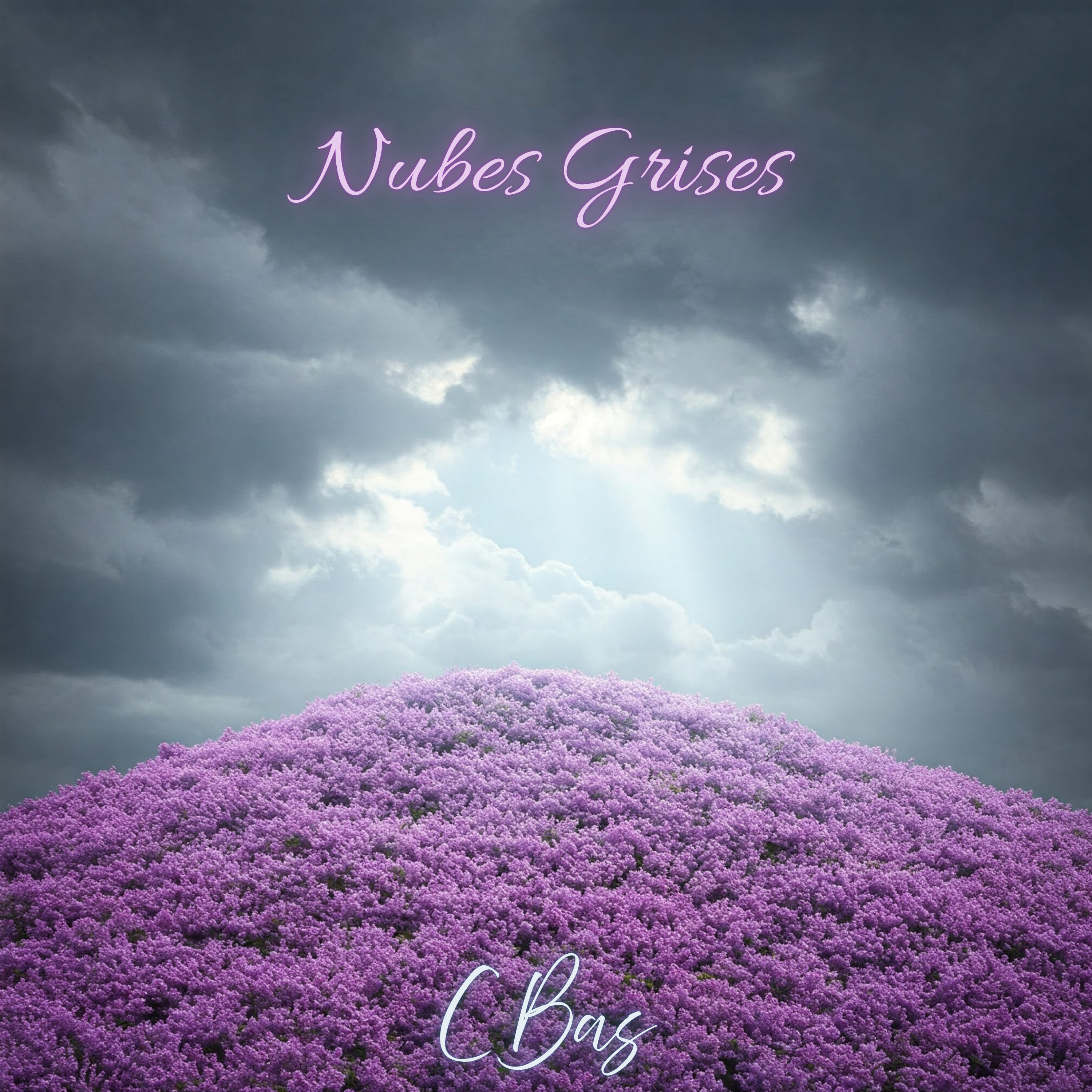 Nubes Grises artwork