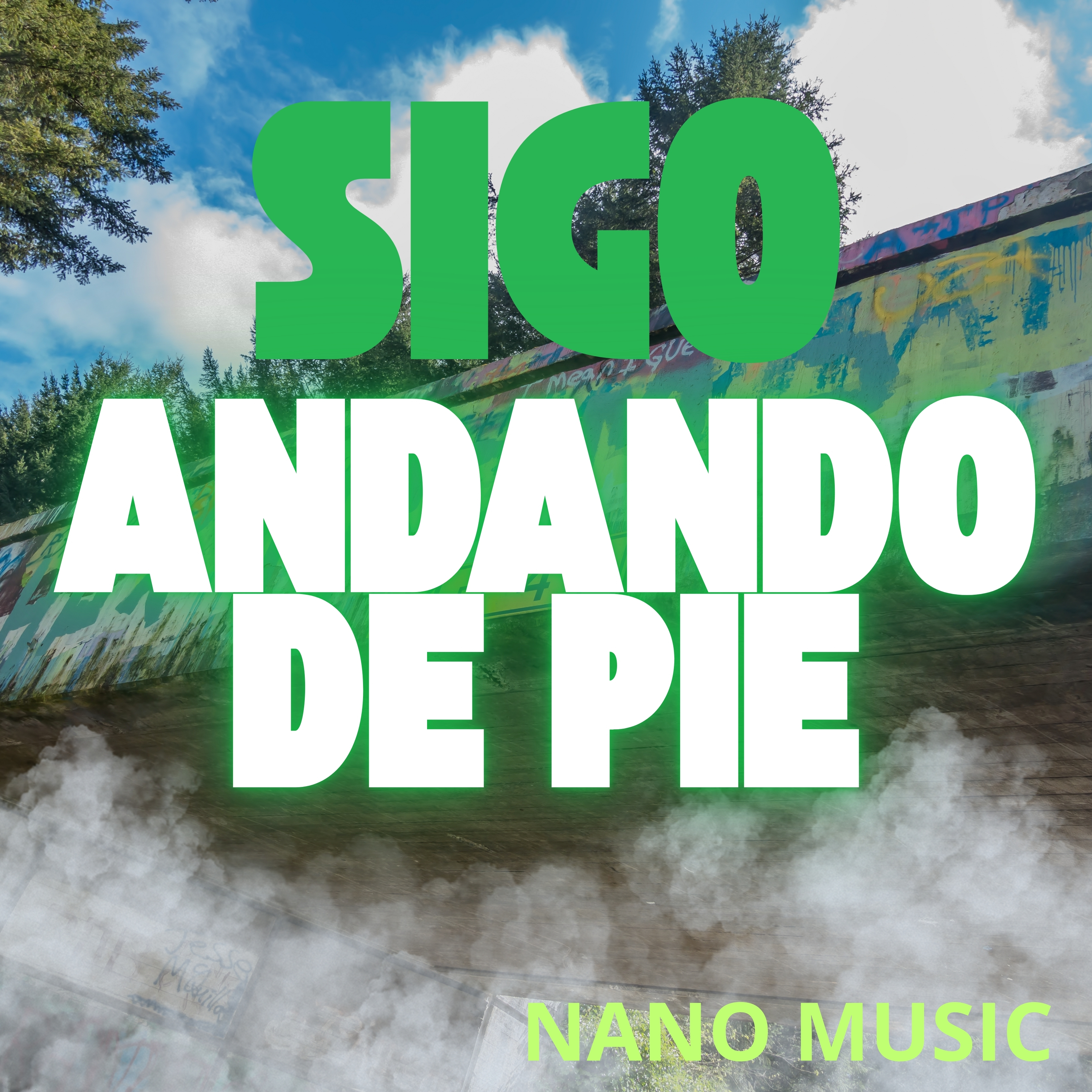 Sigo andando de pie artwork