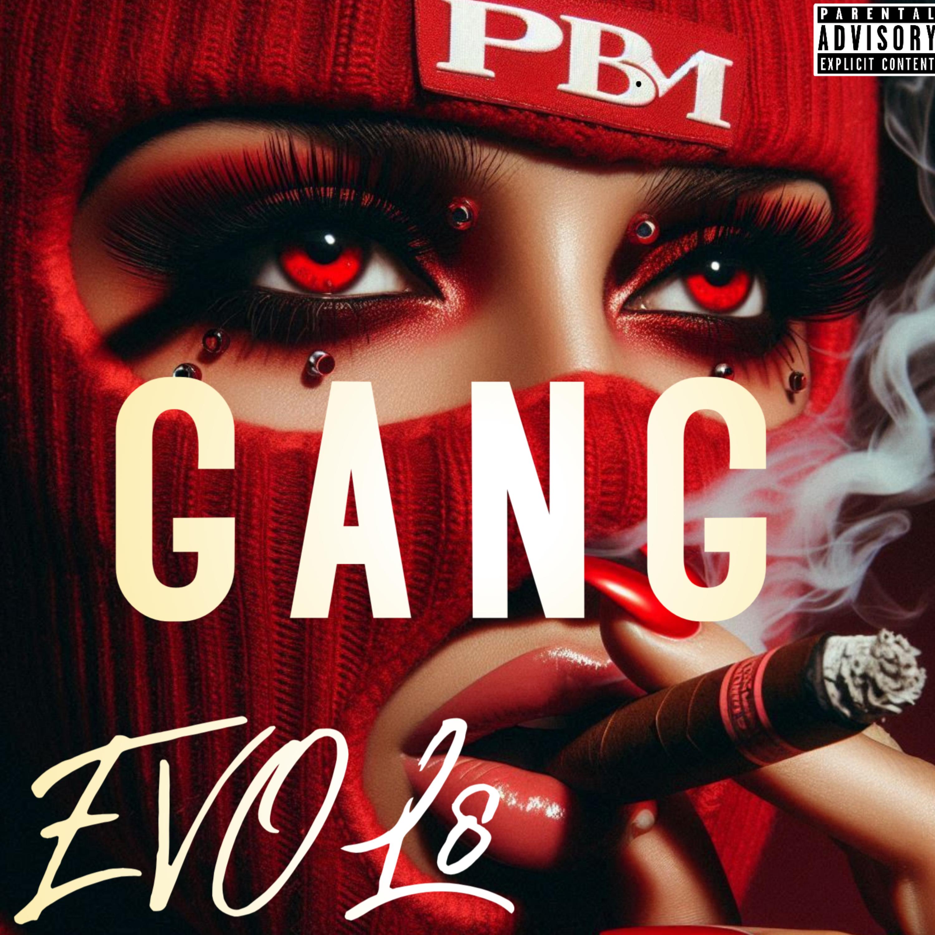 GANG artwork