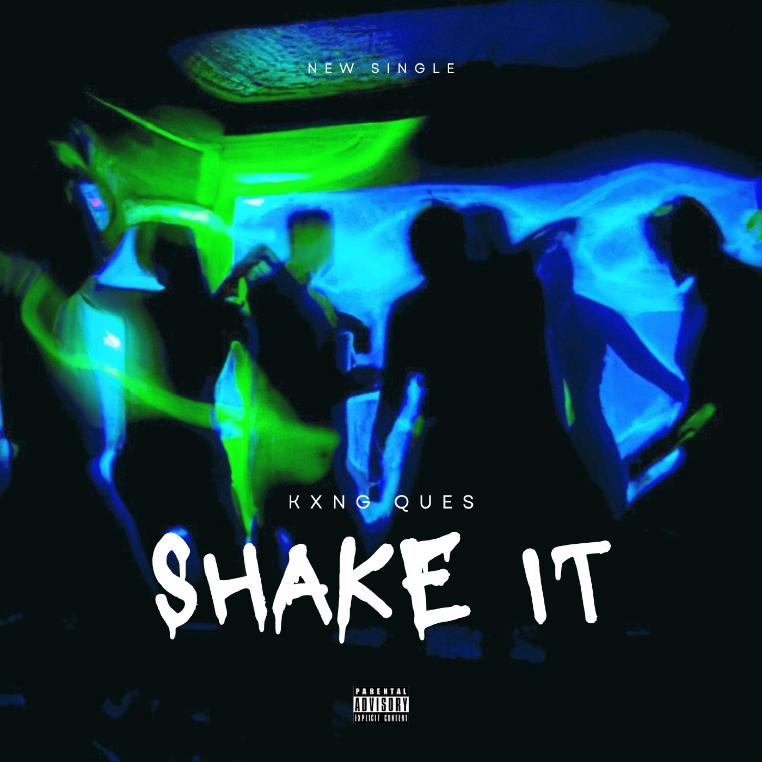 Shake It artwork