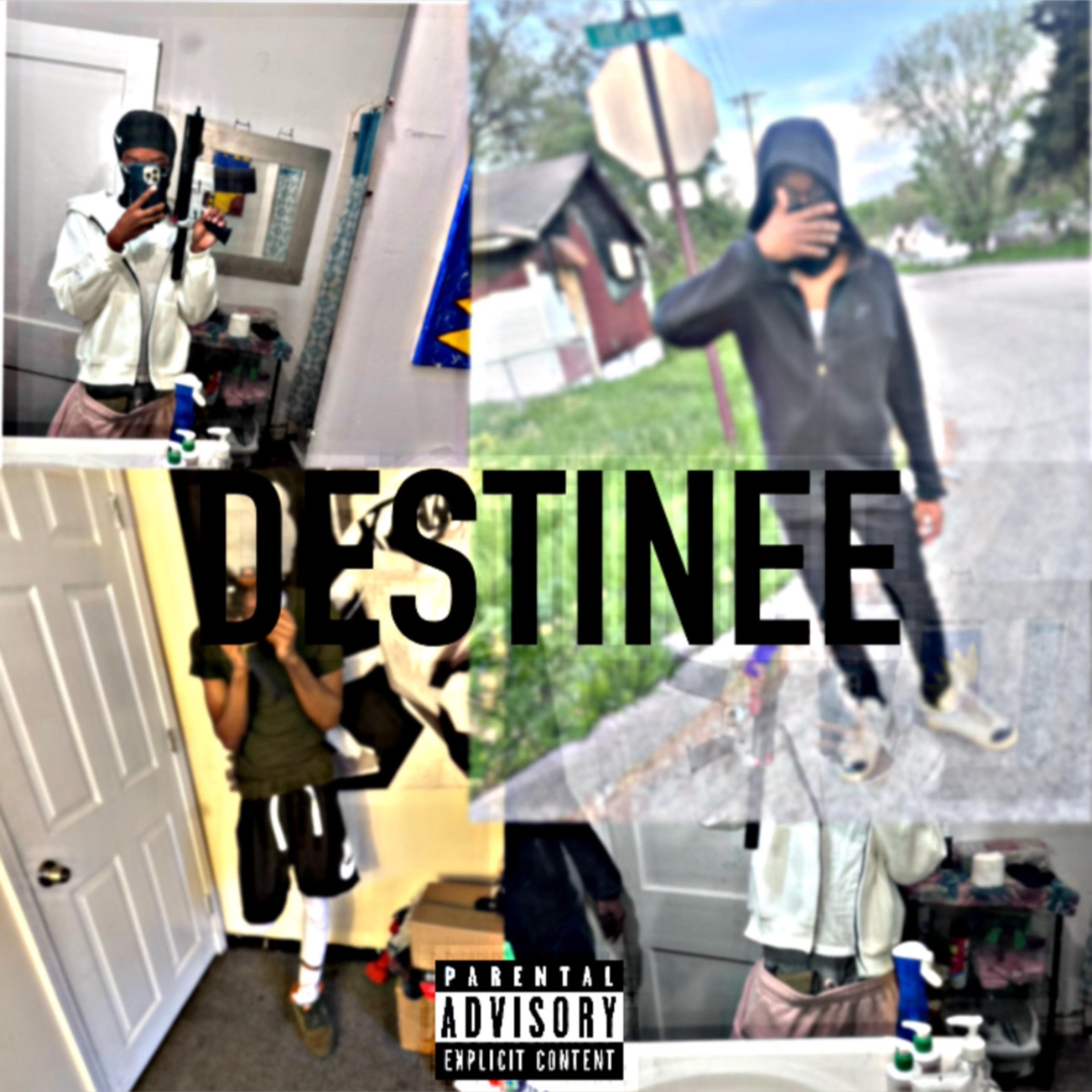 DESTINEE artwork