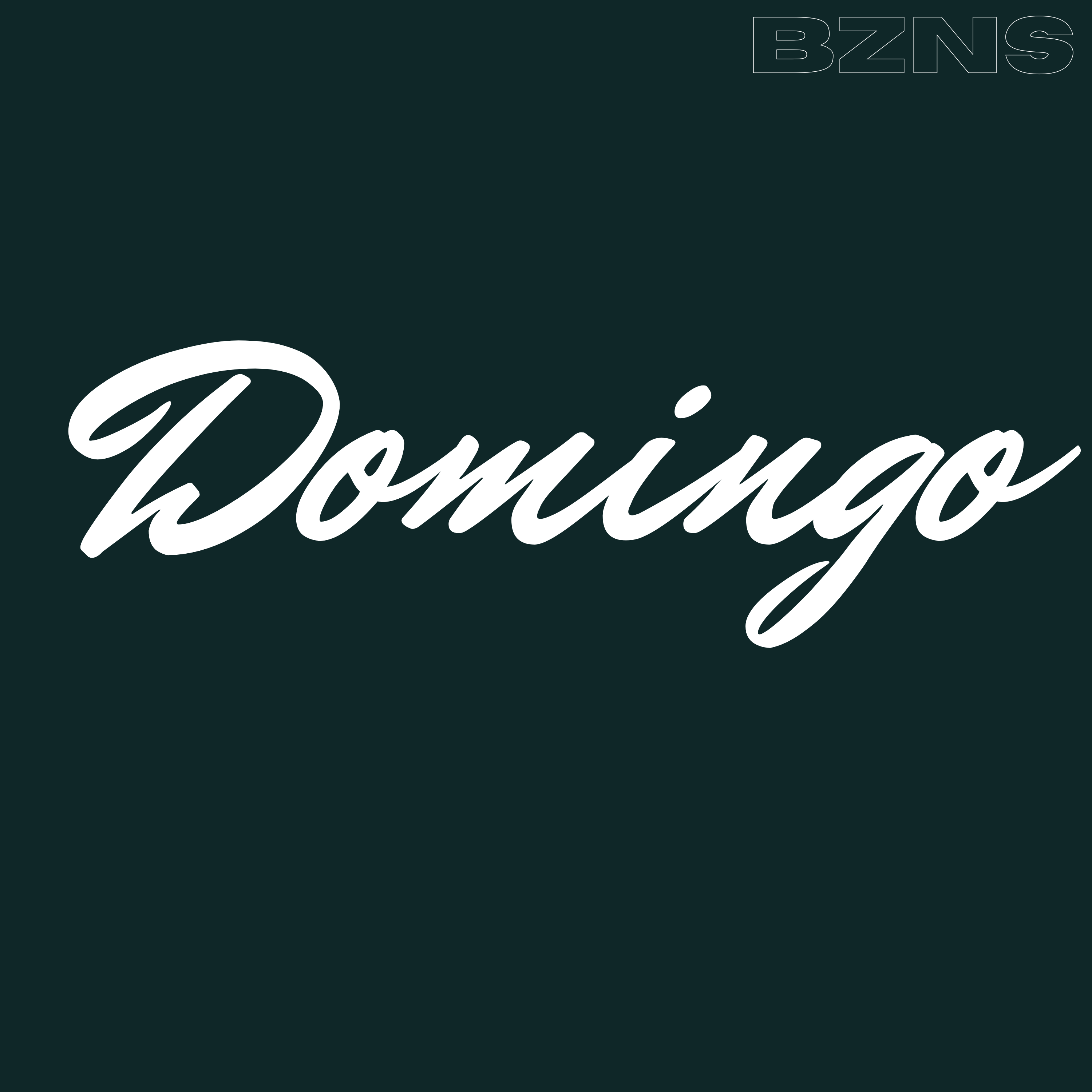 Domingo artwork