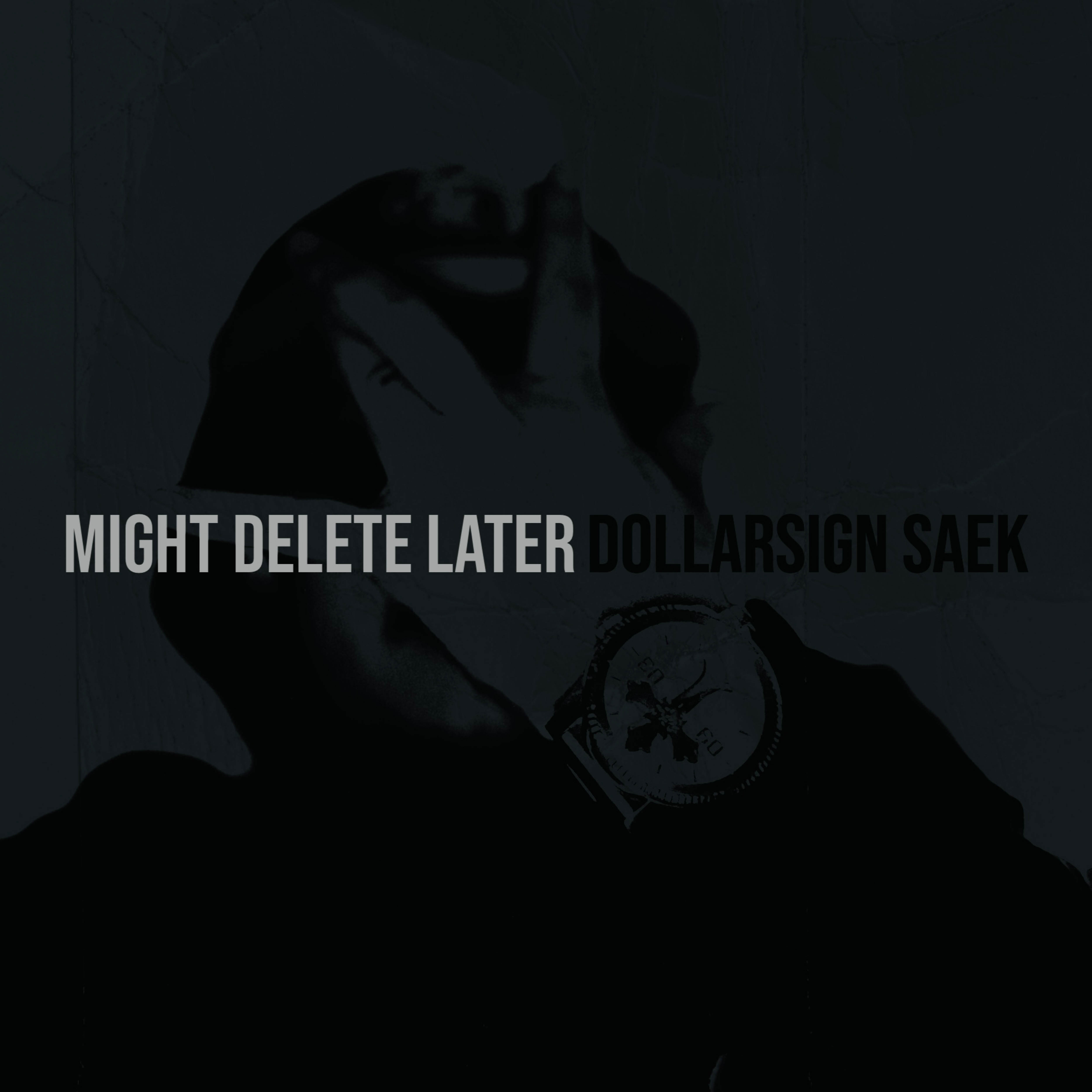 Might Delete Later artwork