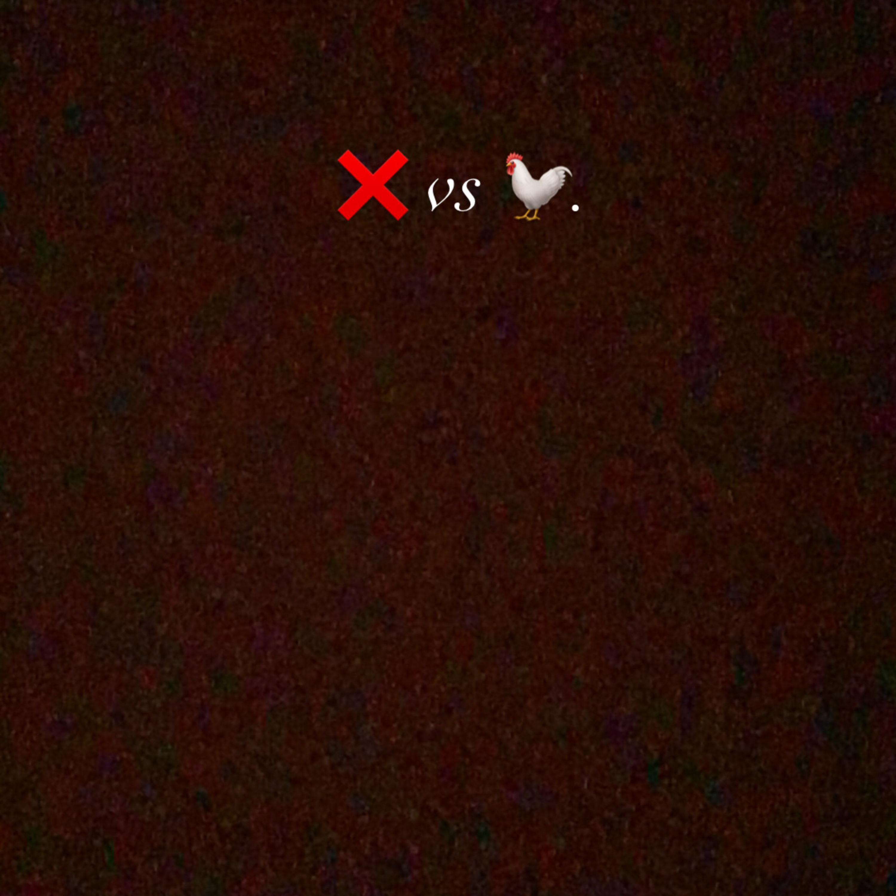 Fla Vs Chick artwork
