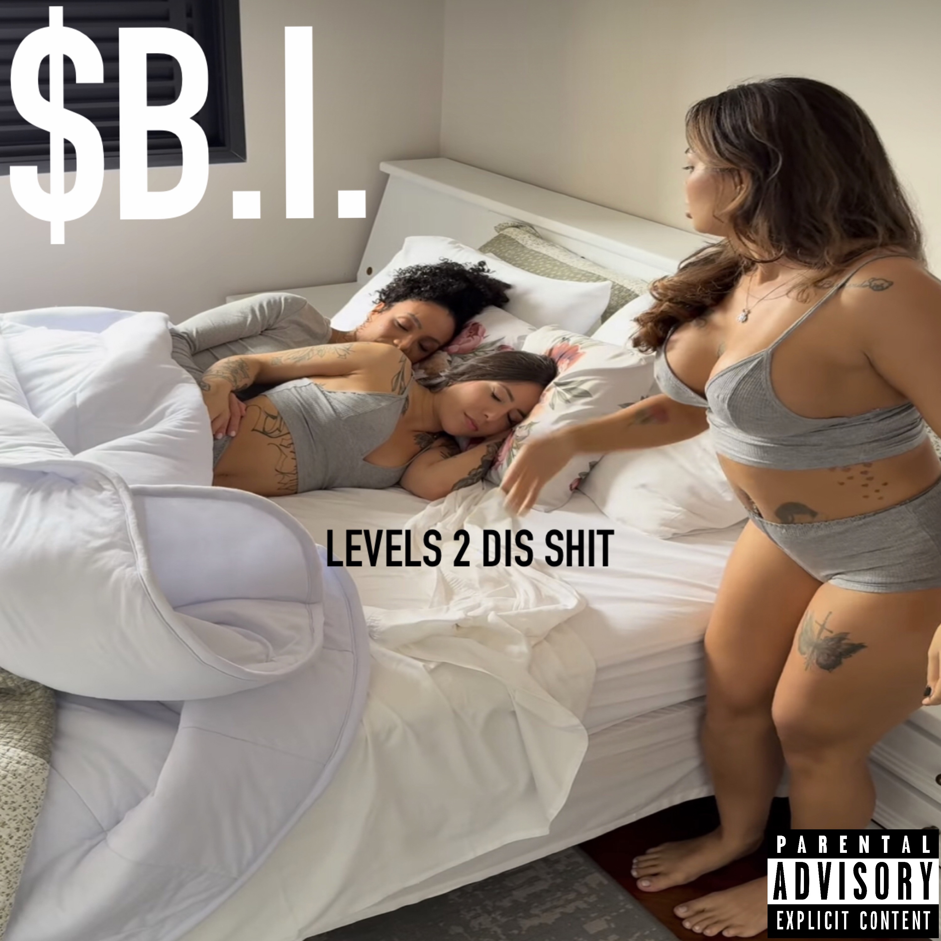 LEVELS 2 DIS SHIT artwork