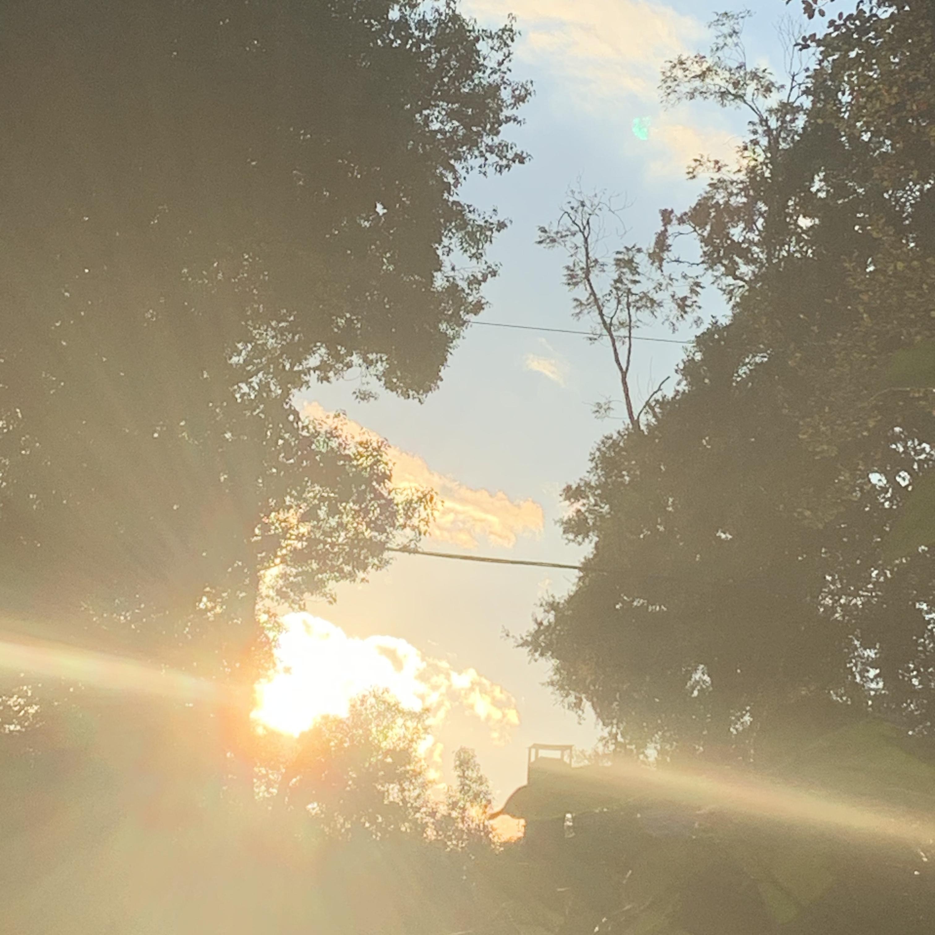heart recovery¿ (die in october.) by Trig24LS cover art