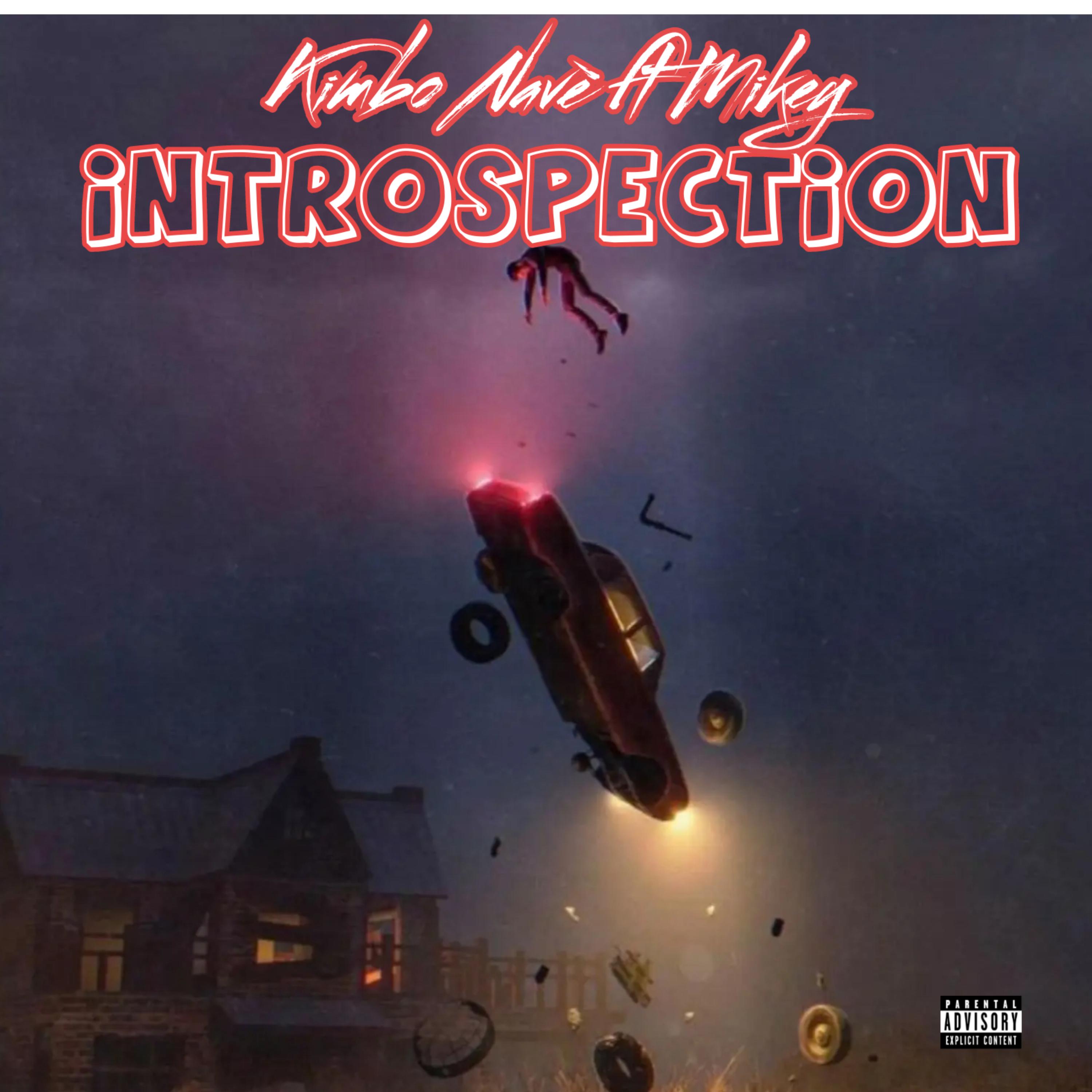 Introspection artwork