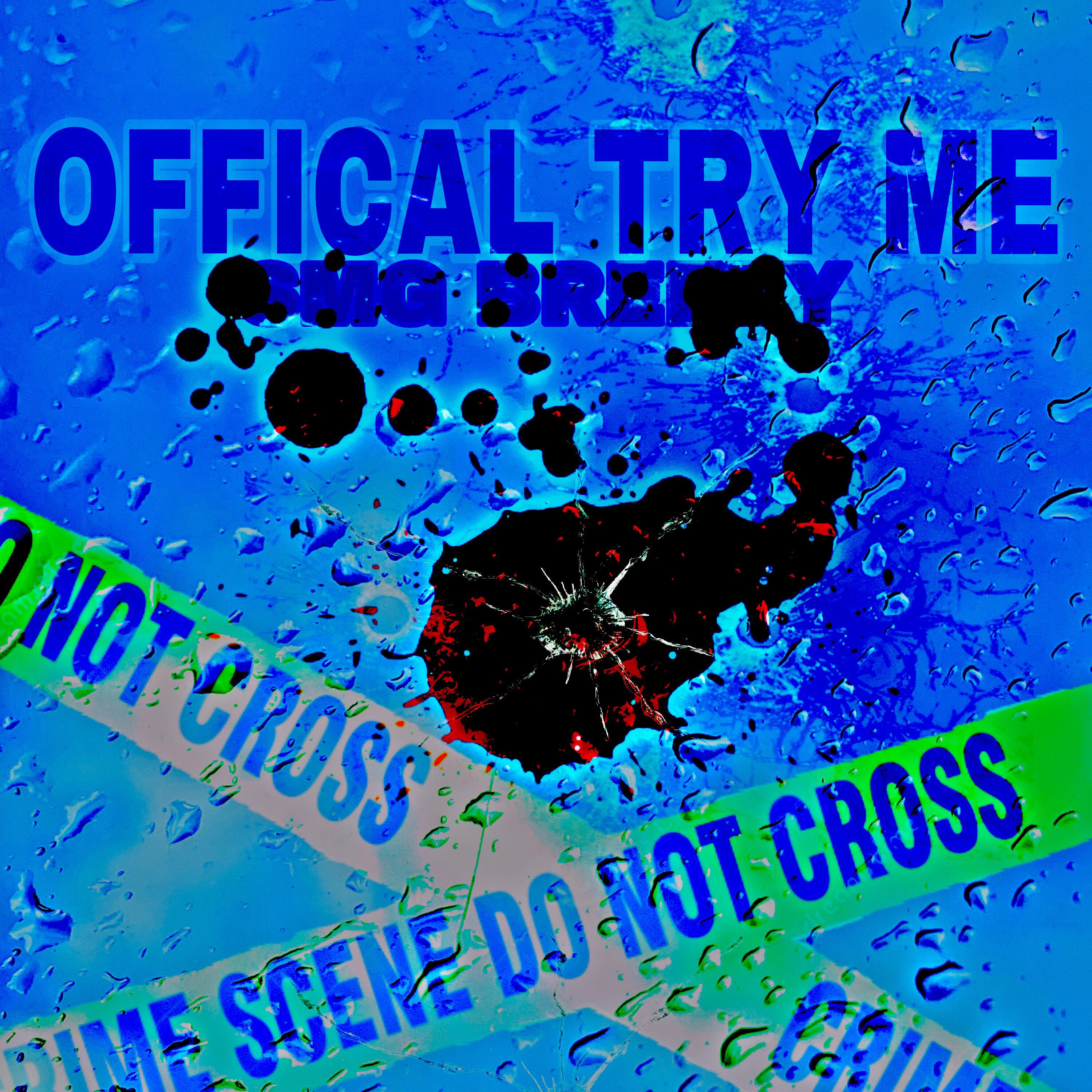 OFFICAL TRY ME artwork