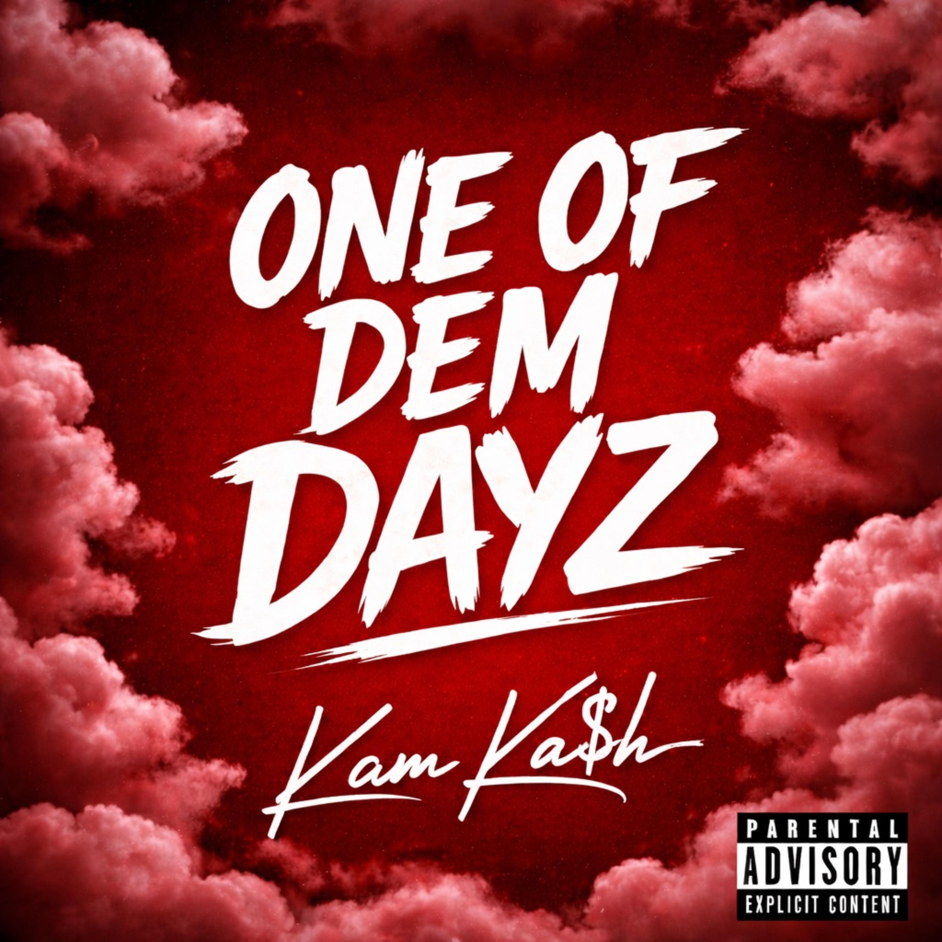 ONE OF DEM DAYZ by KAMKASH cover art