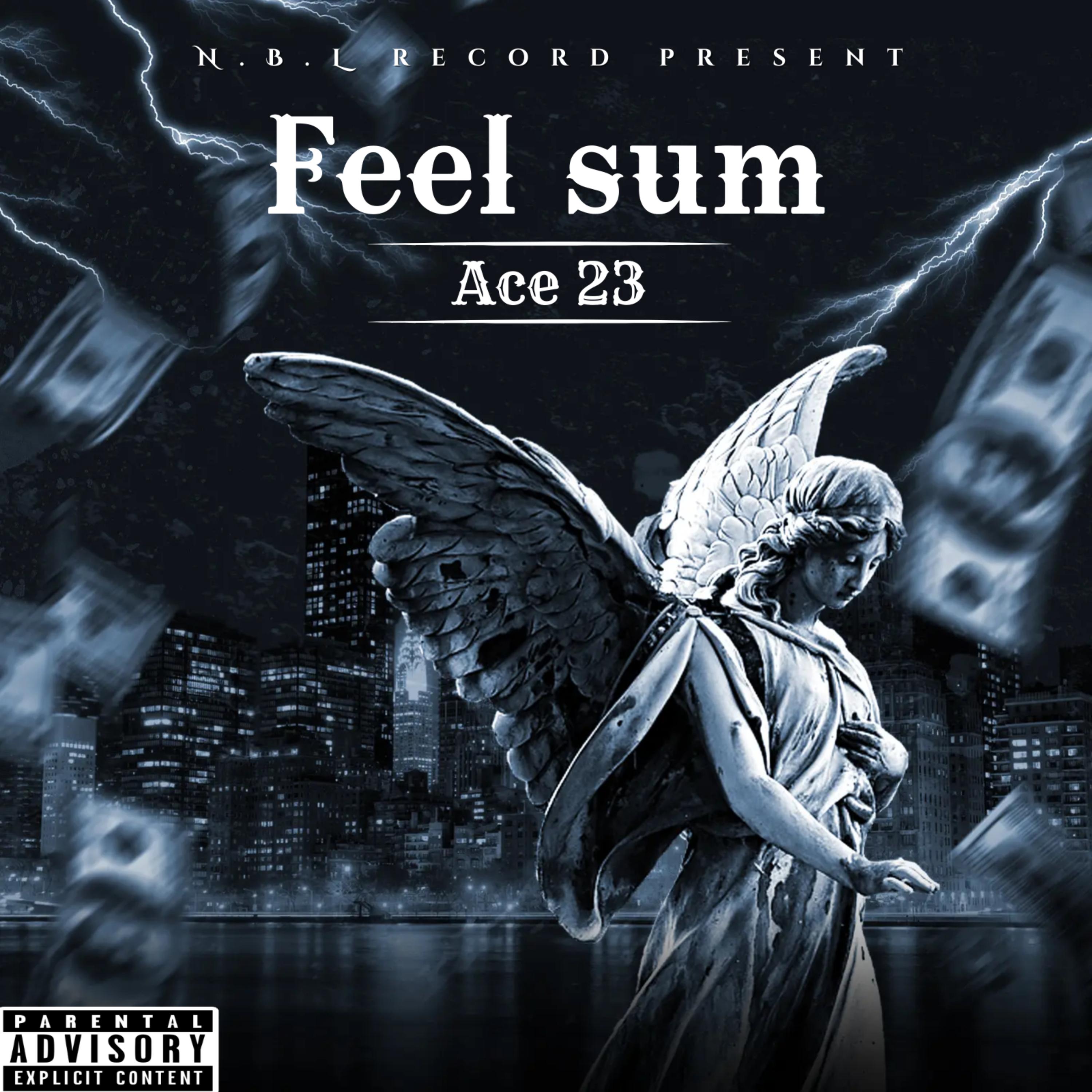 Feel Sum artwork