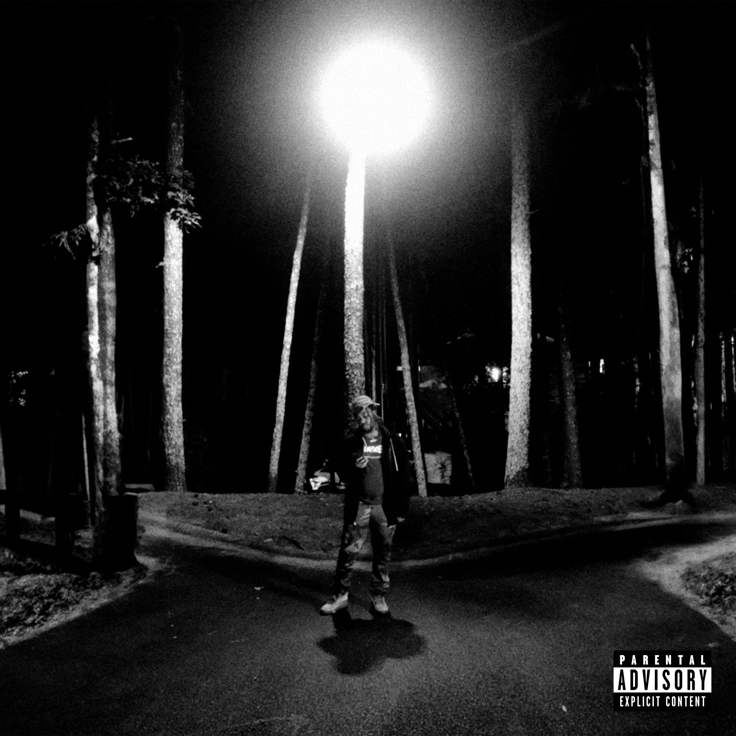 no fear artwork