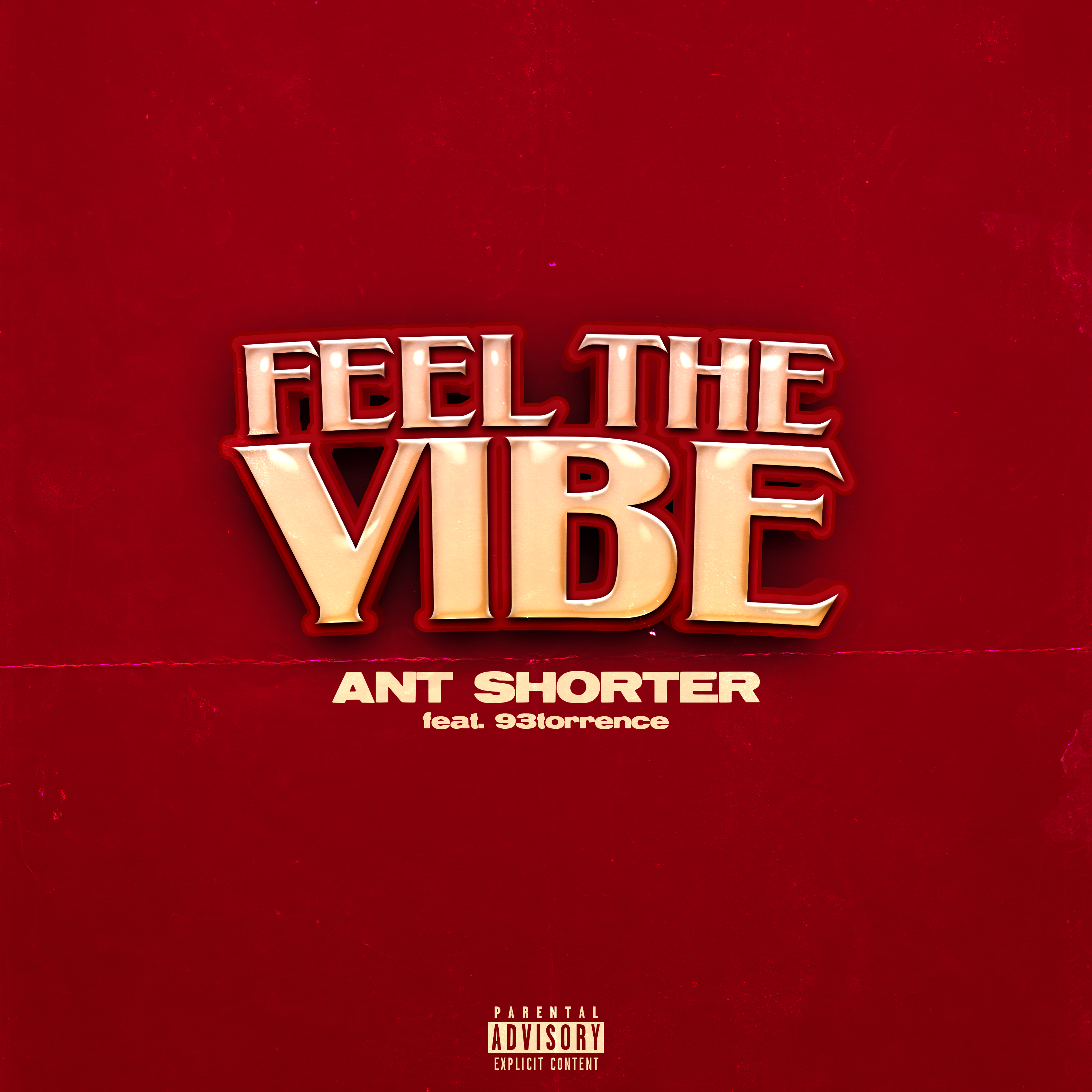 Feel The Vibe artwork