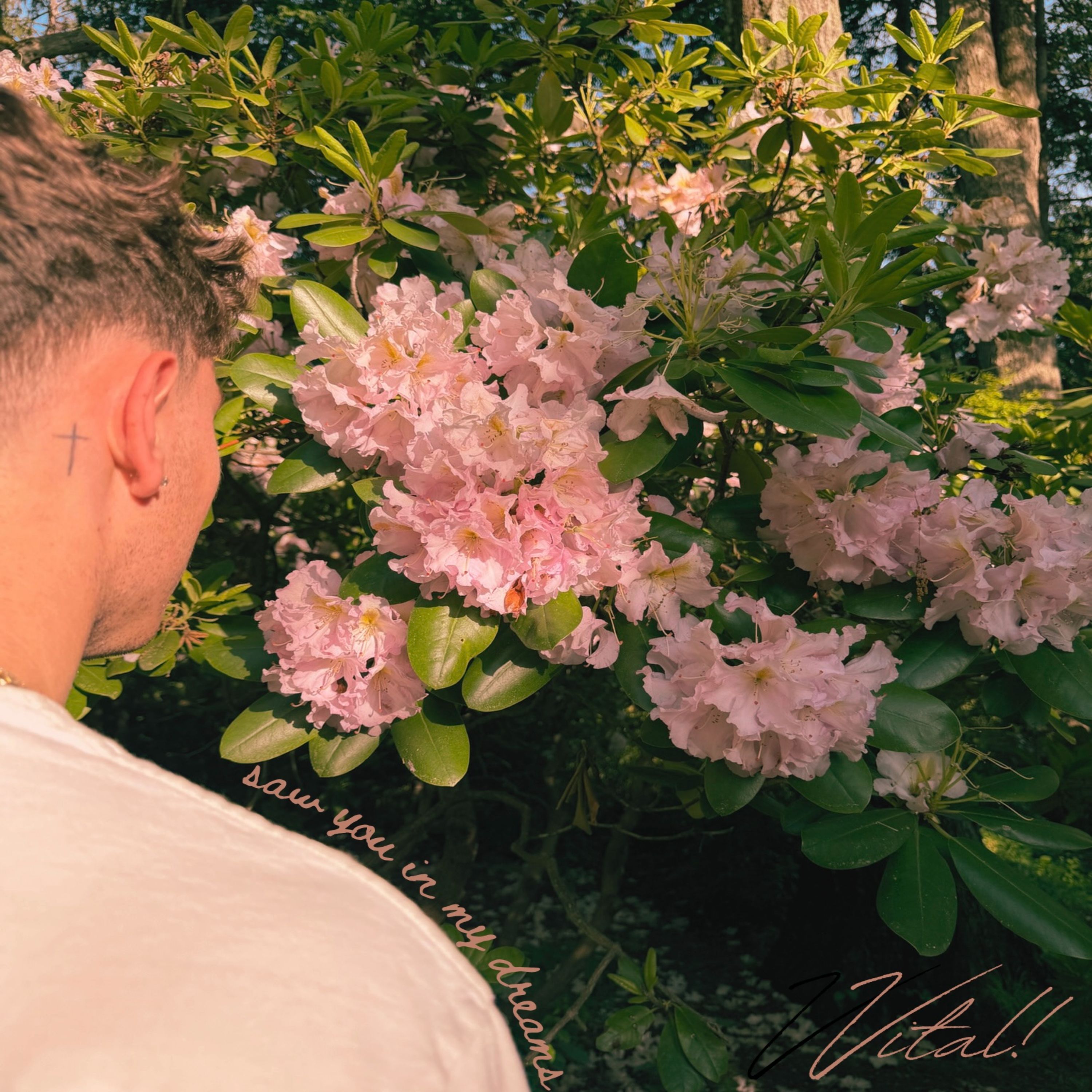 saw you in my dreams by Vital! cover art
