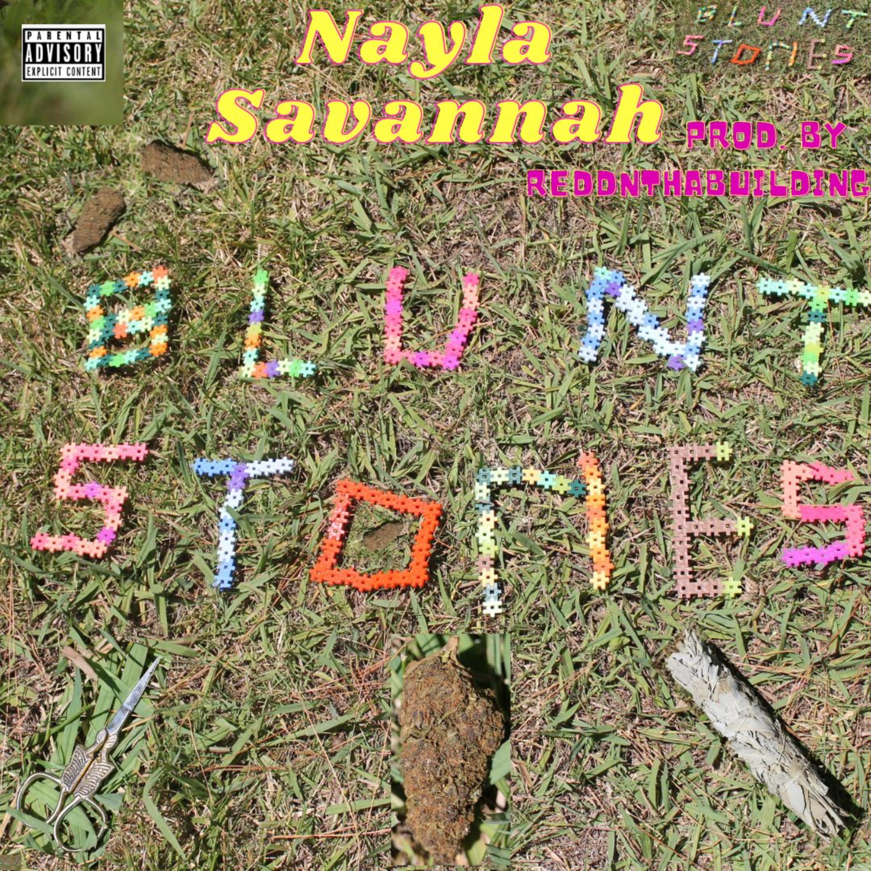 Blunt Stories artwork