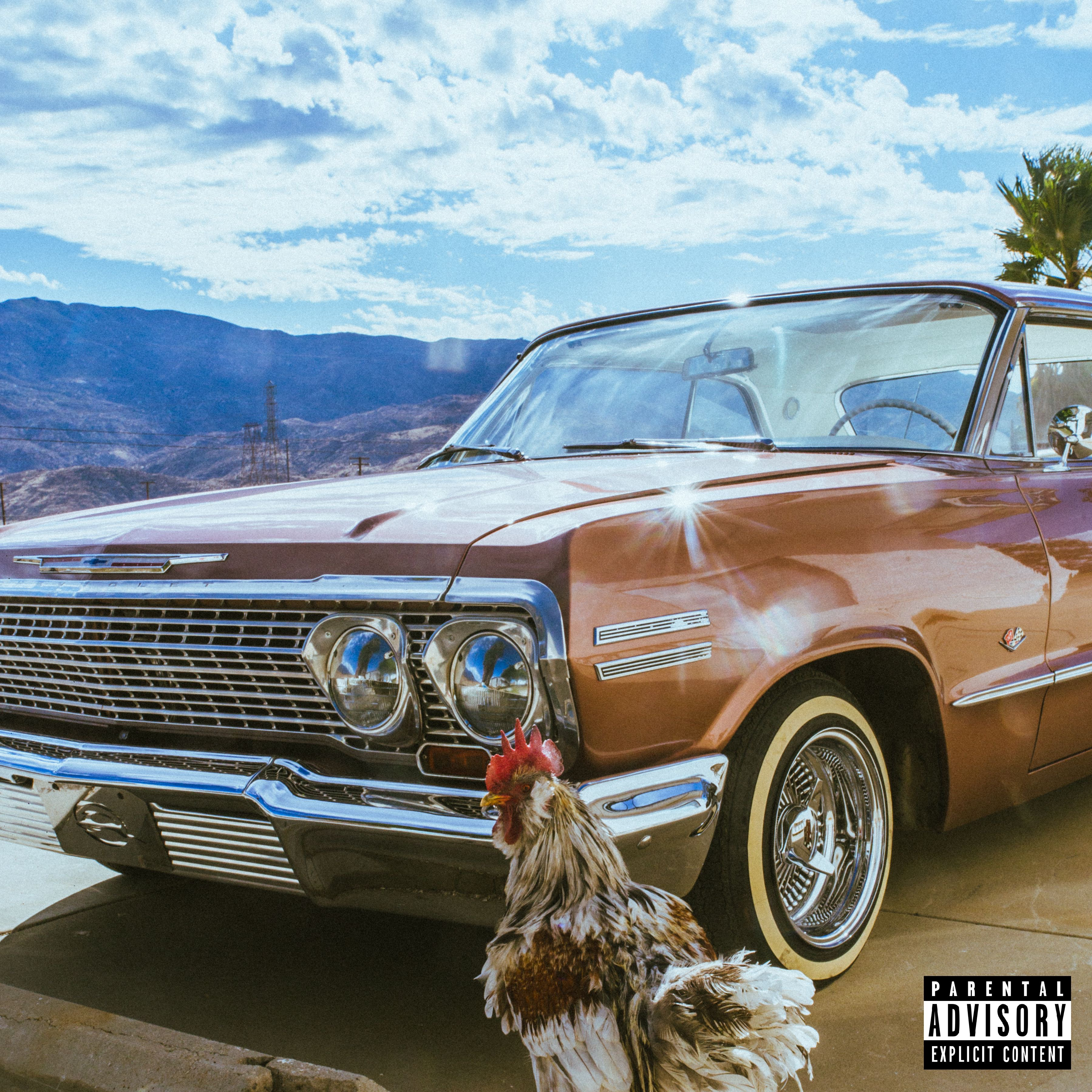 BLACK ROOSTER artwork