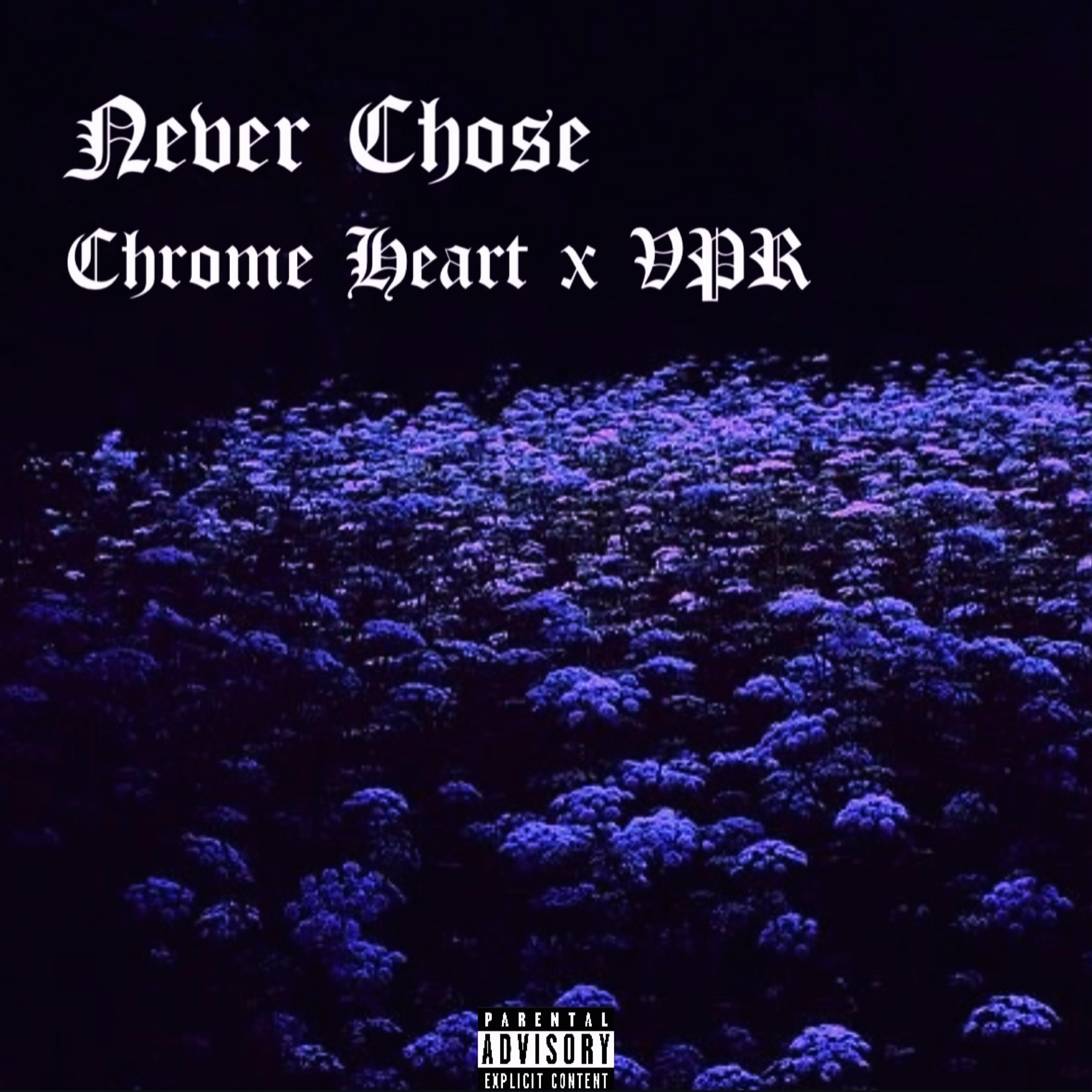 Never Chose artwork