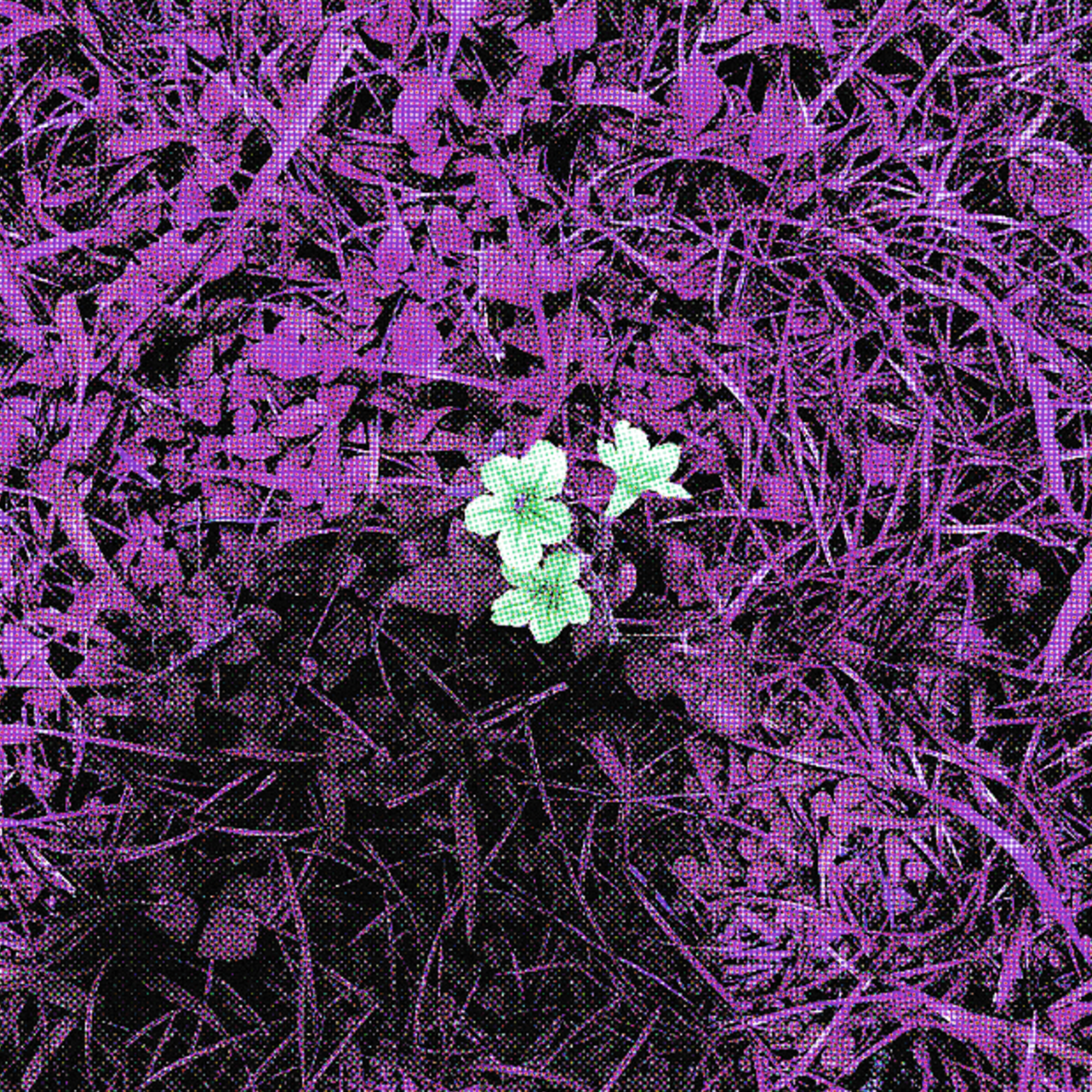 Feelings // Love On Me (Tonight) [Alts] artwork