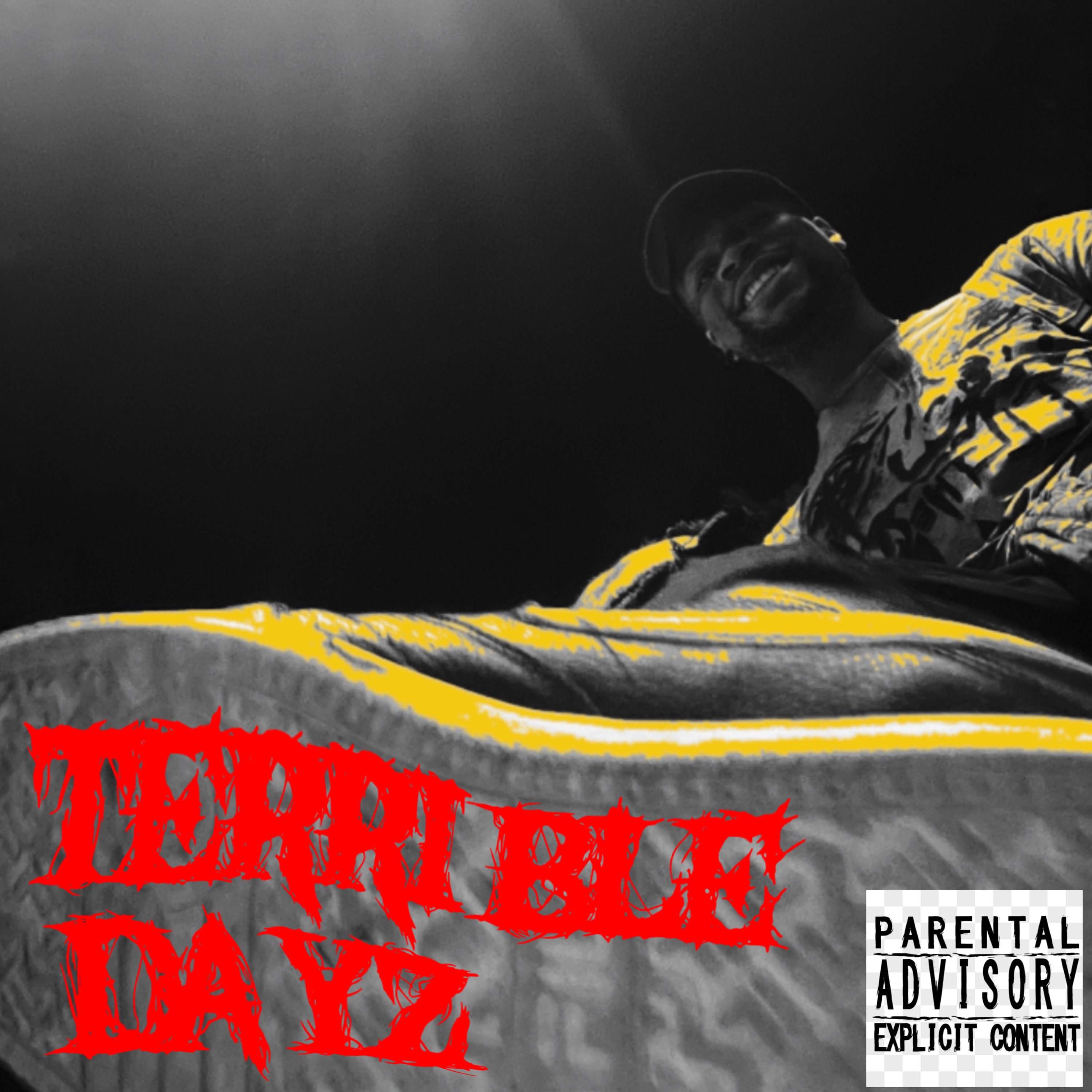 TERRIBLE DAYZ artwork
