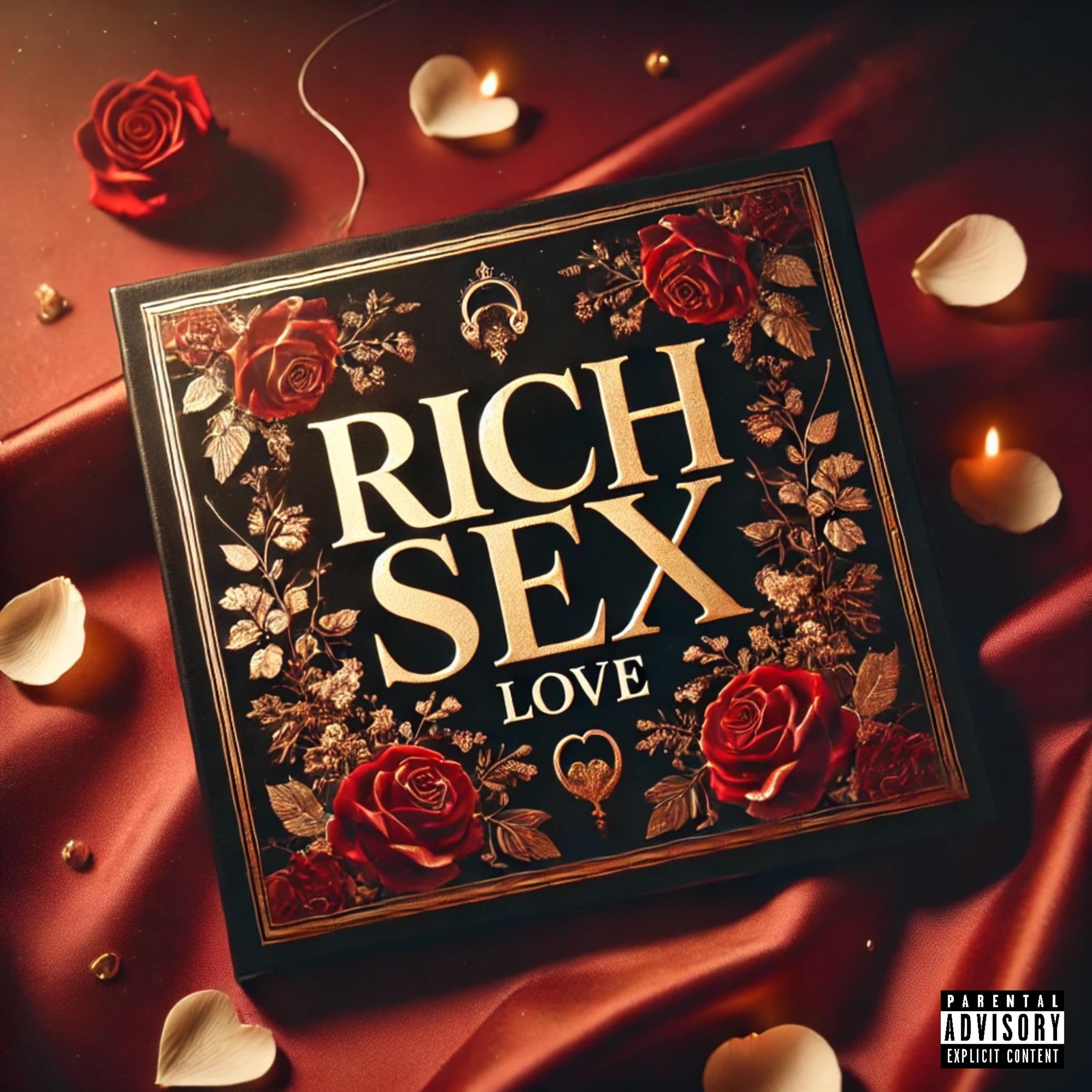 RICH SEX by WJM MENA cover art