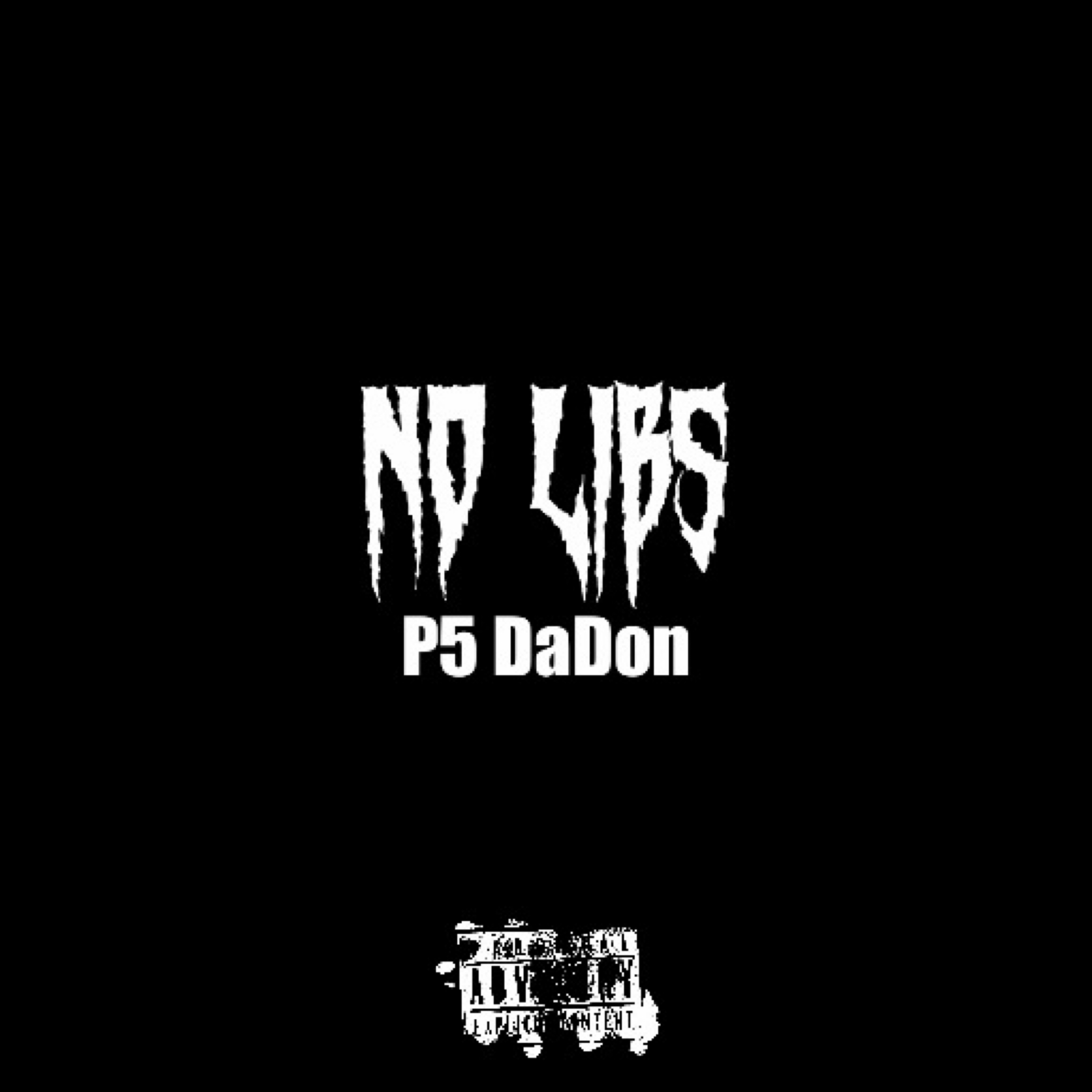 No Libs by P5!VE cover art