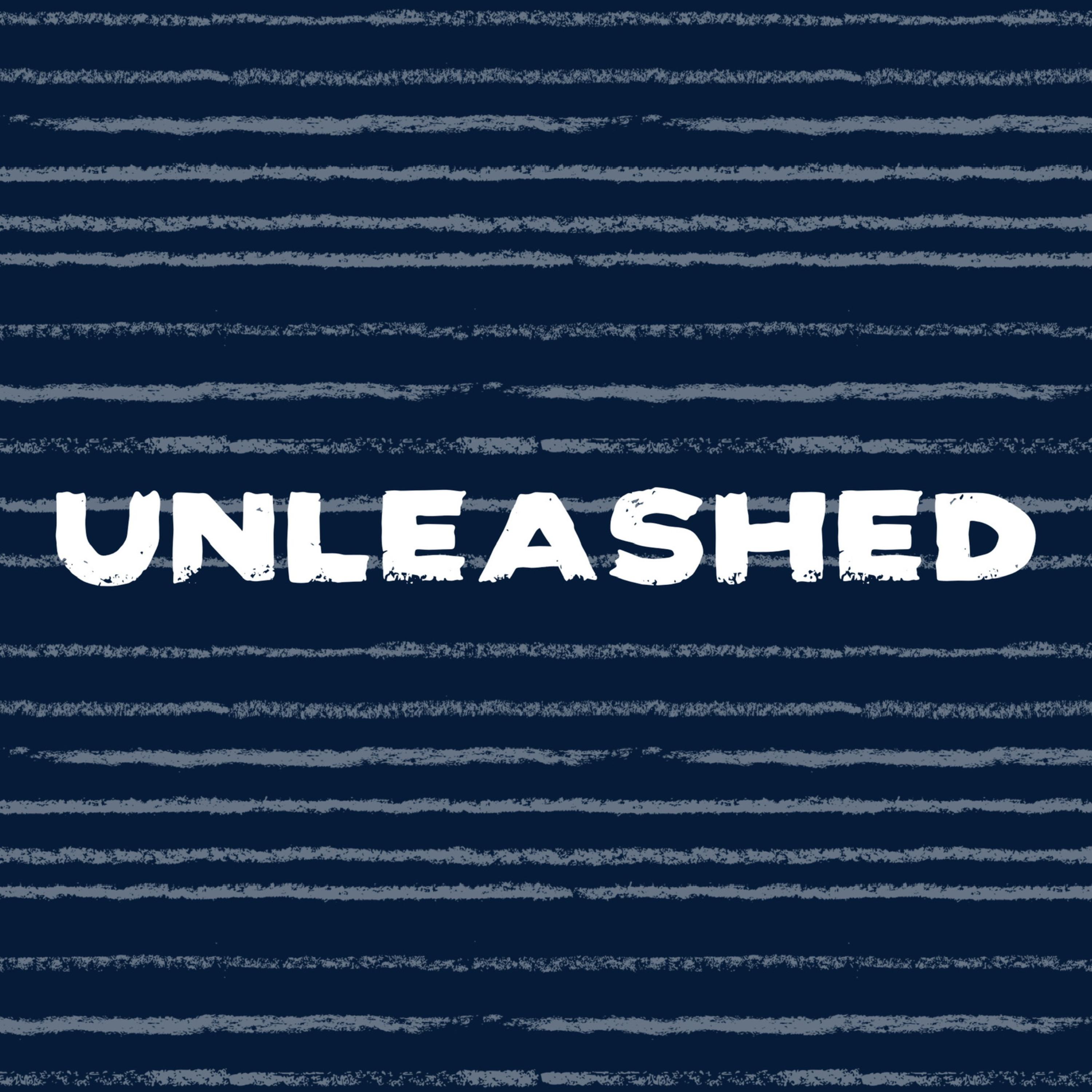 Unleashed artwork