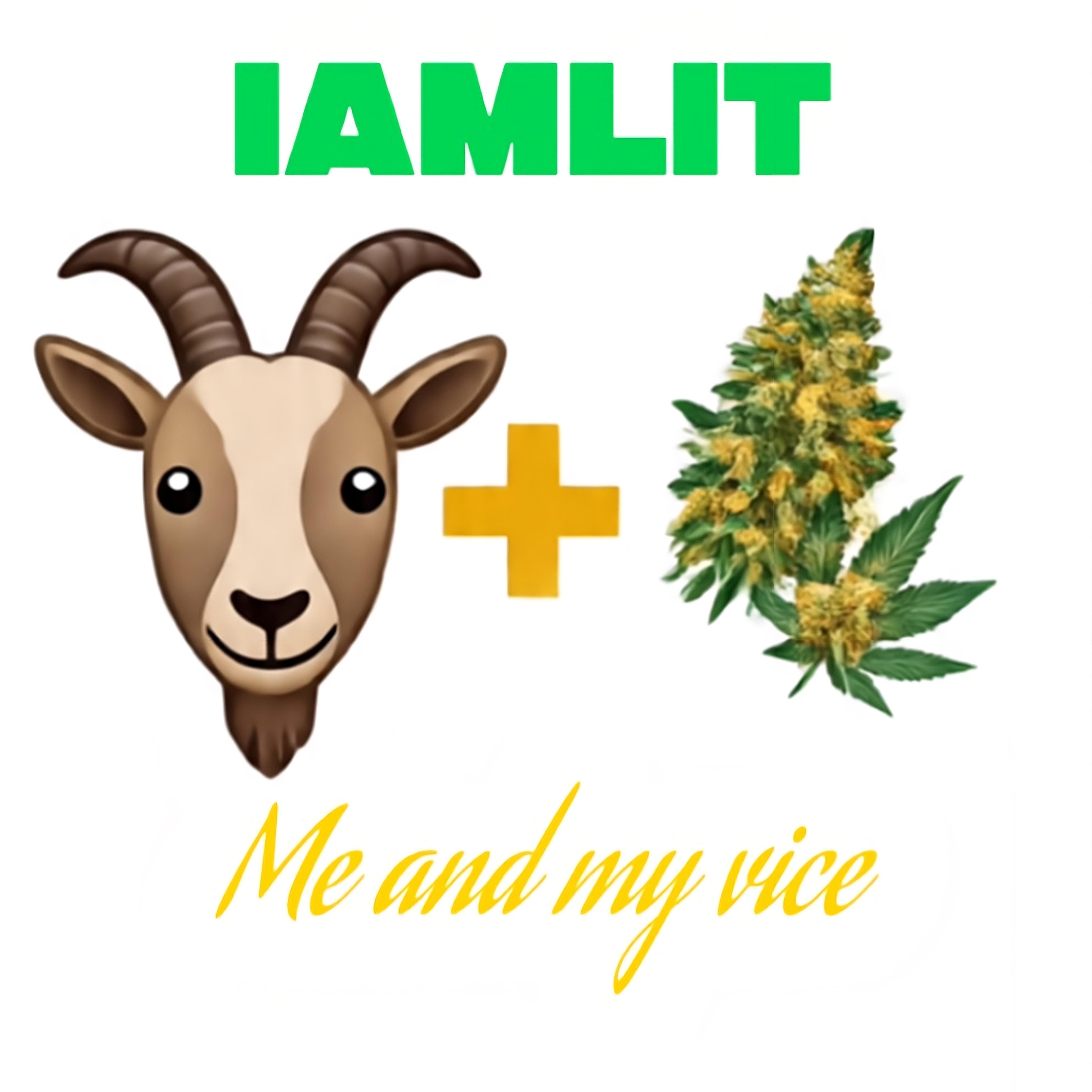 Me and my vice artwork