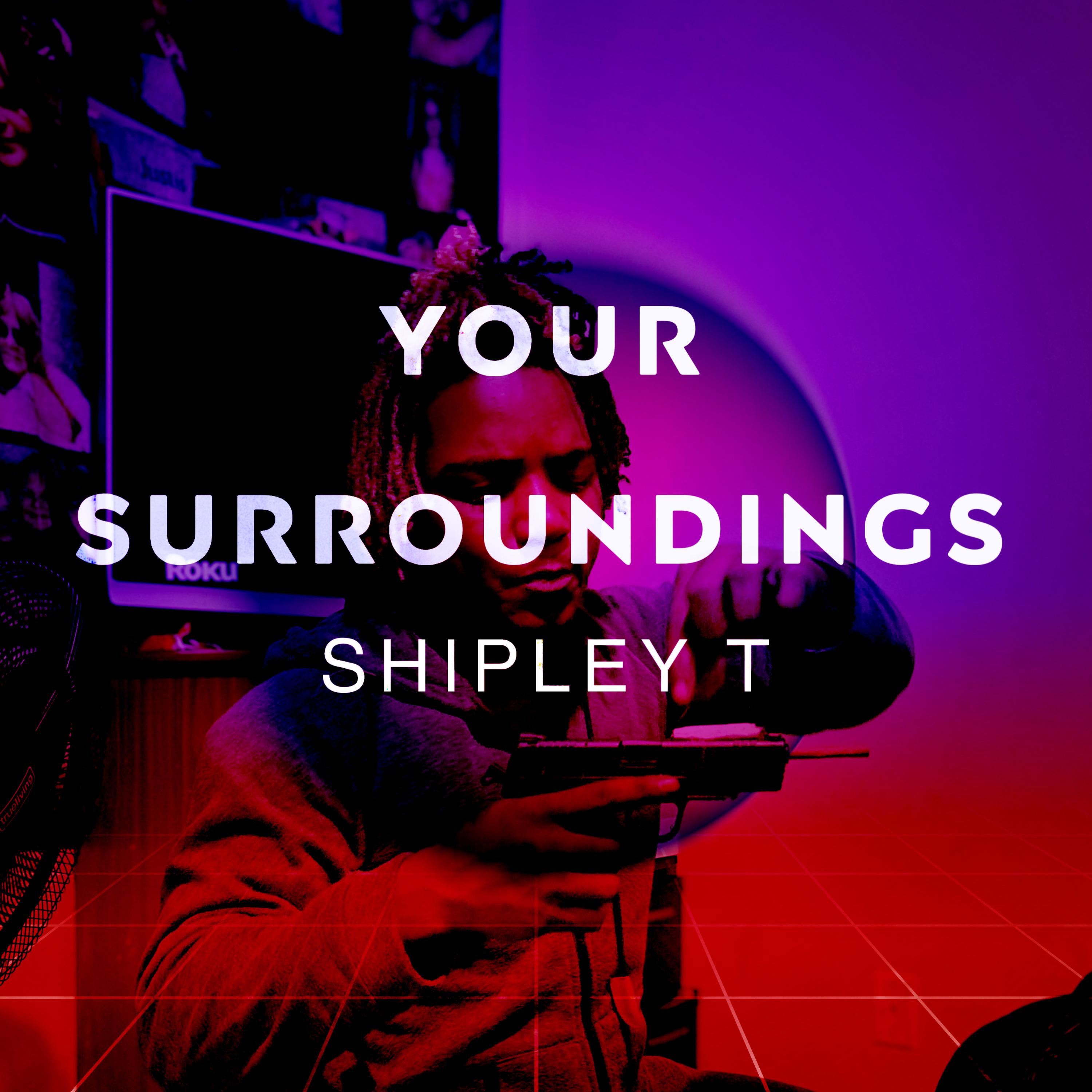 Your Surroundings artwork