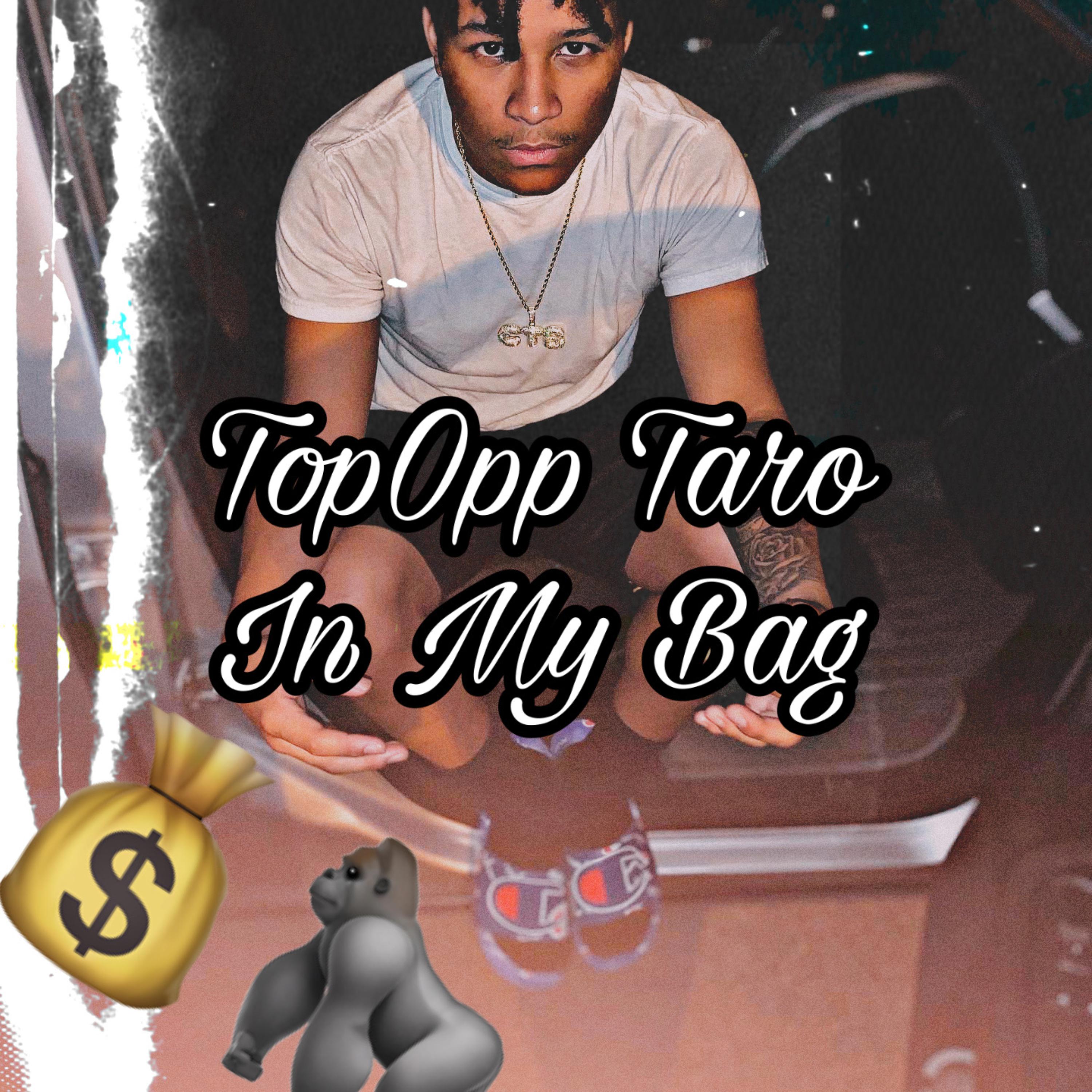 In My Bag artwork