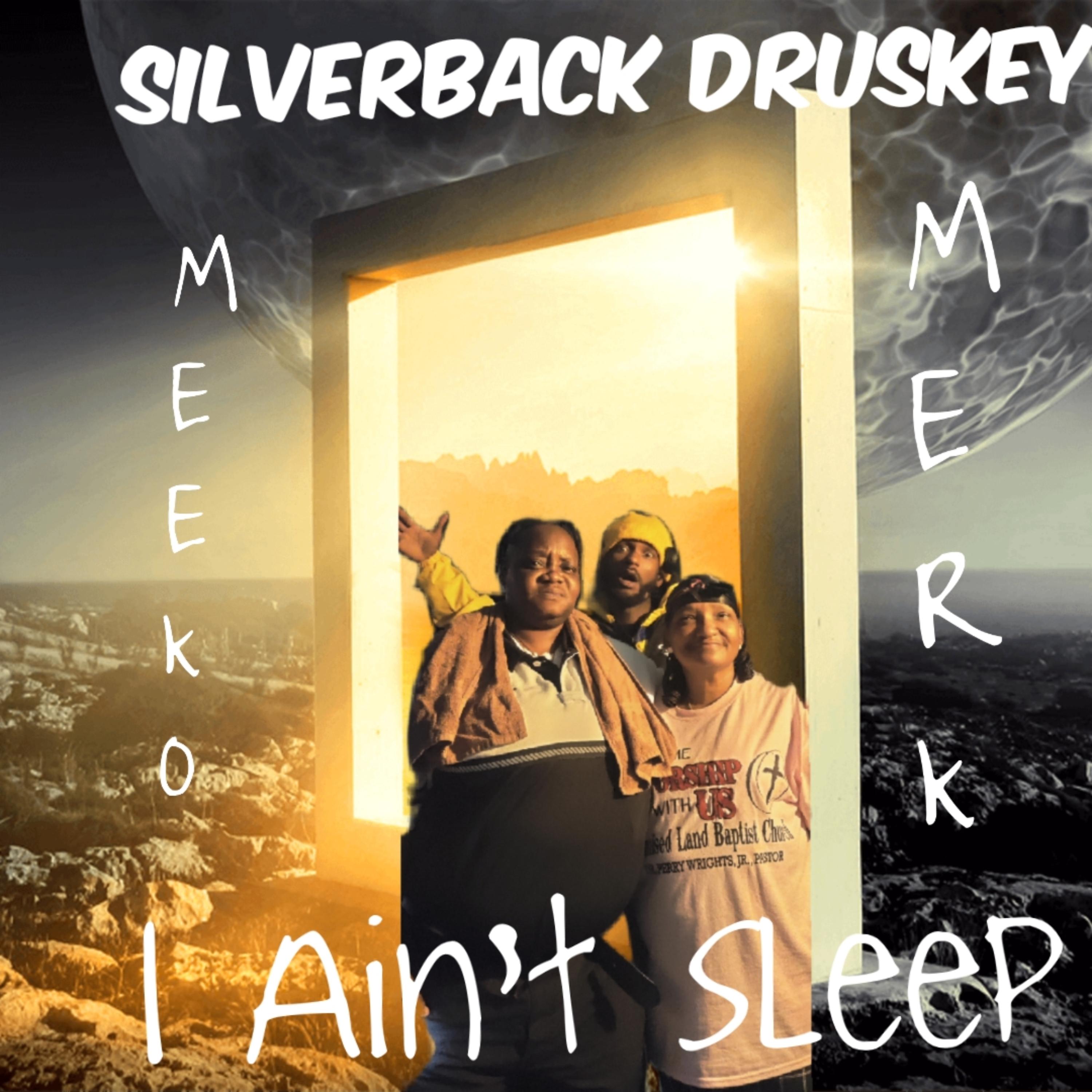 I Ain't Sleep artwork