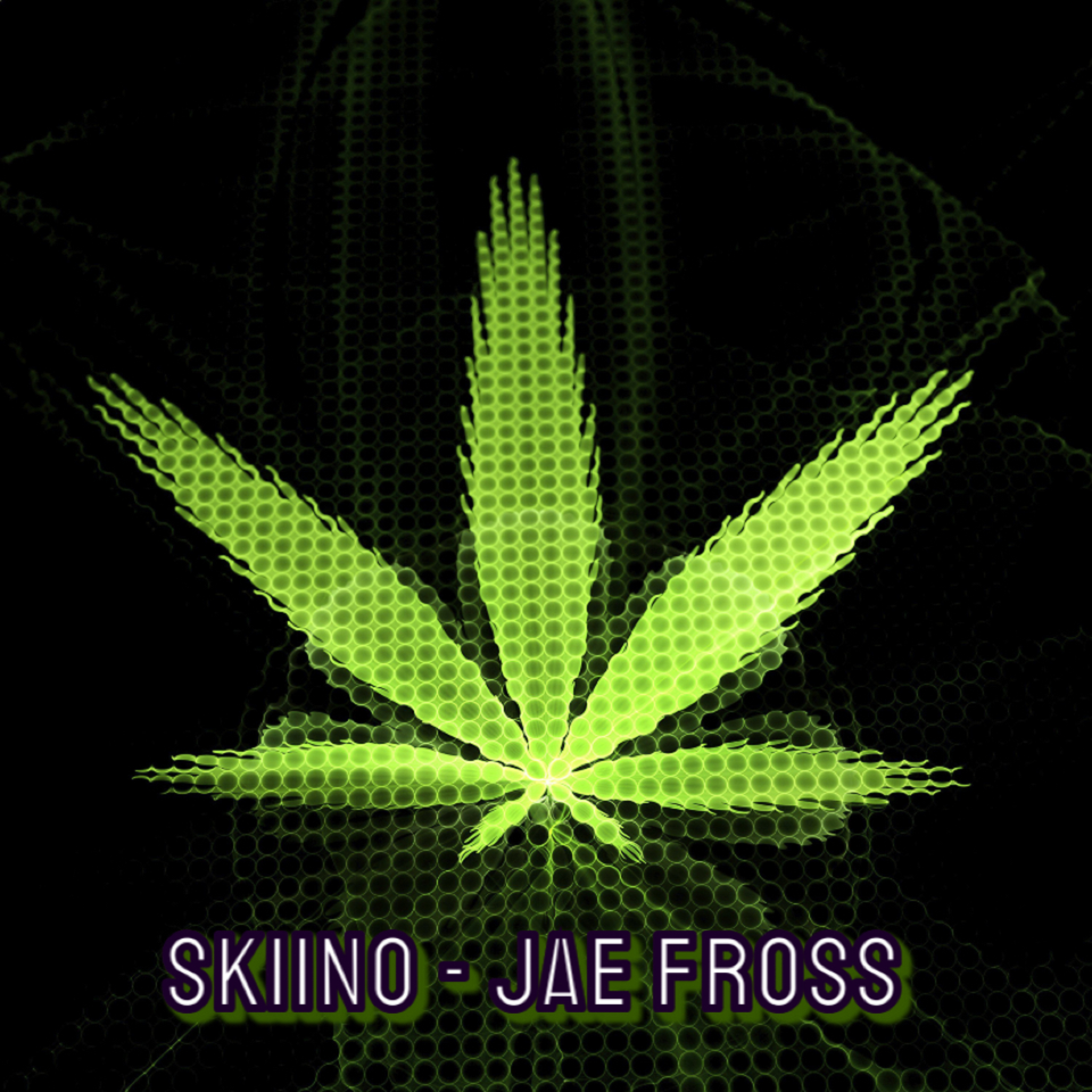 Skiino artwork