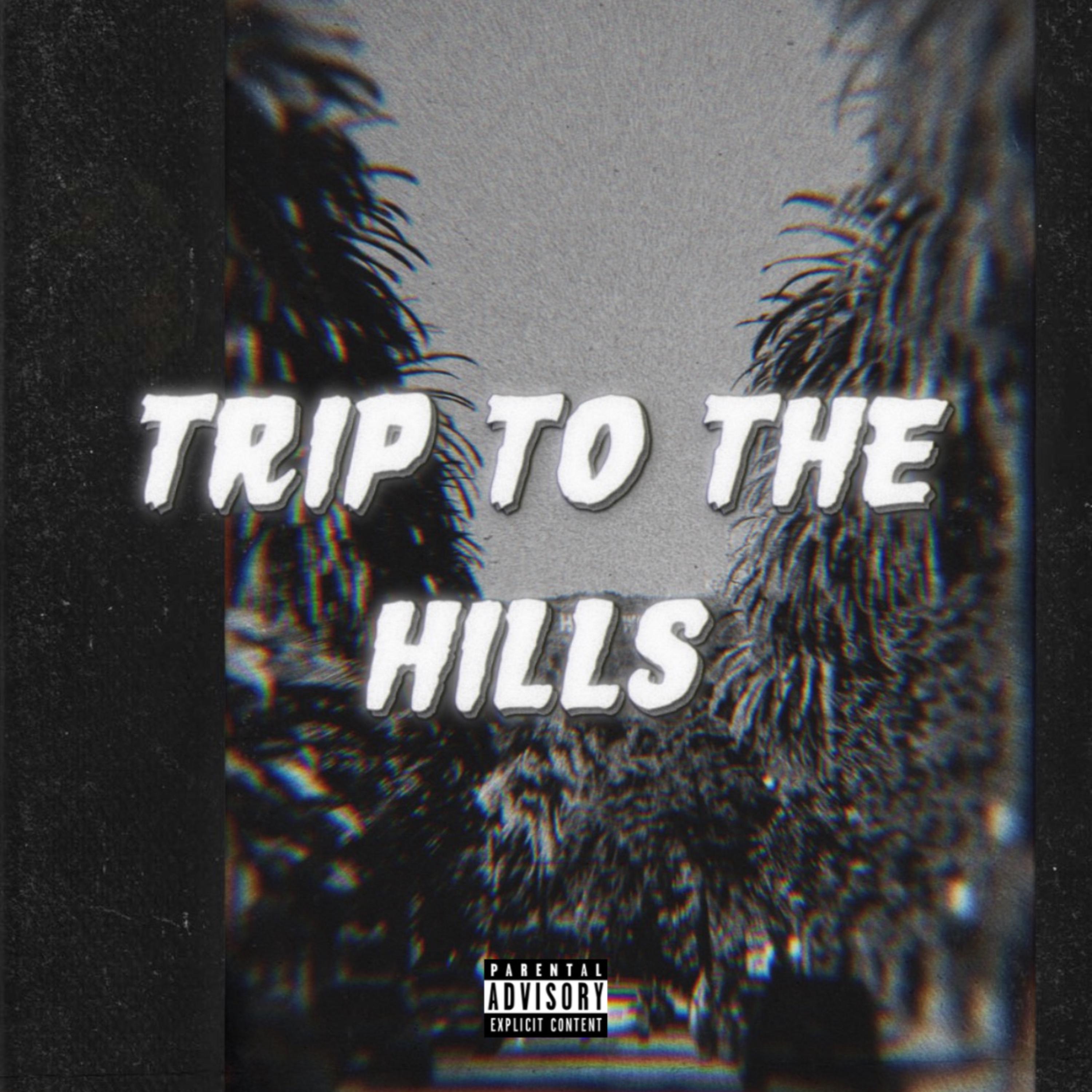 Trip To The Hills artwork