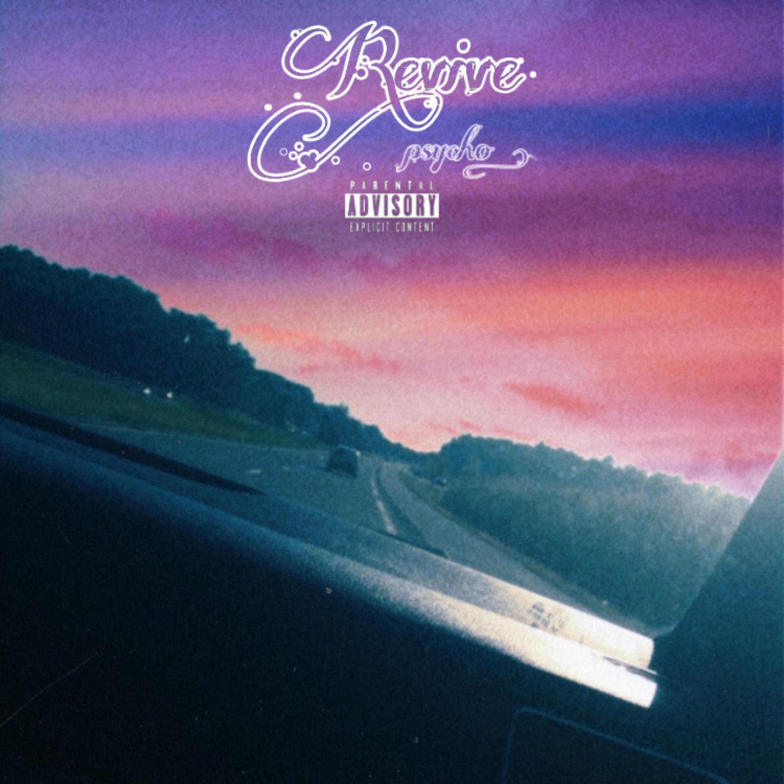 Revive artwork