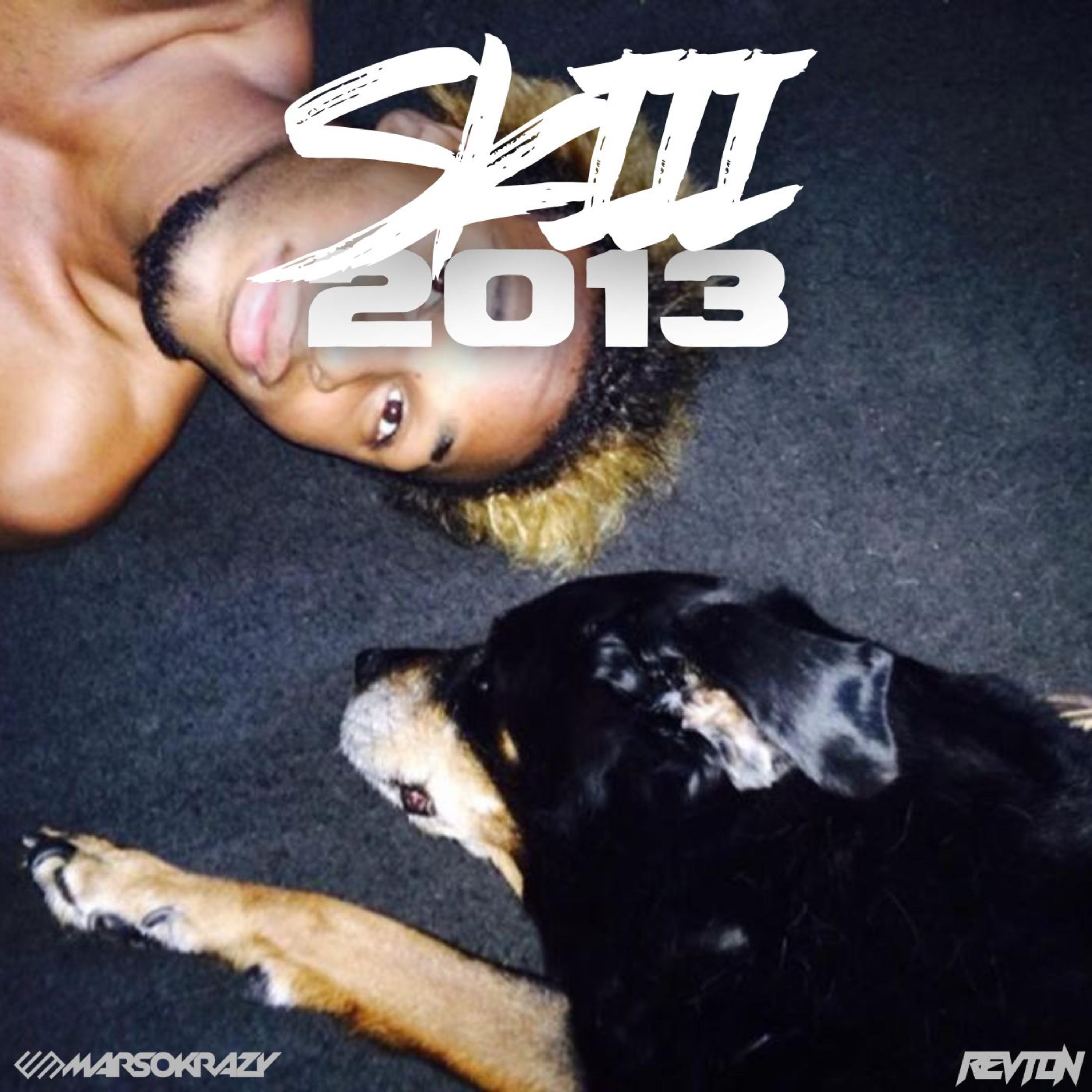 SKIII 2013 artwork